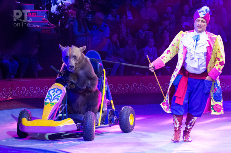 Победители республиканского проекта «Культурный дневник школьника» стали первыми зрителями программы «Всё будет хорошо!»