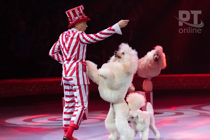 Победители республиканского проекта «Культурный дневник школьника» стали первыми зрителями программы «Всё будет хорошо!»