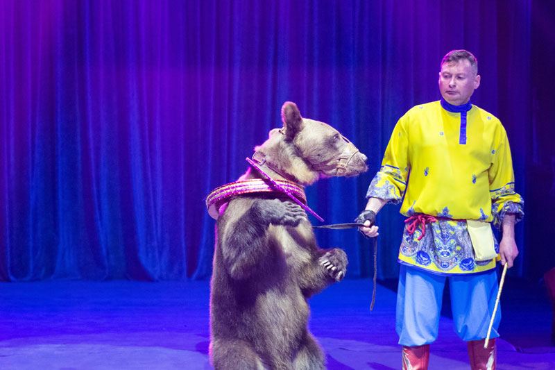 Победители республиканского проекта «Культурный дневник школьника» стали первыми зрителями программы «Всё будет хорошо!»