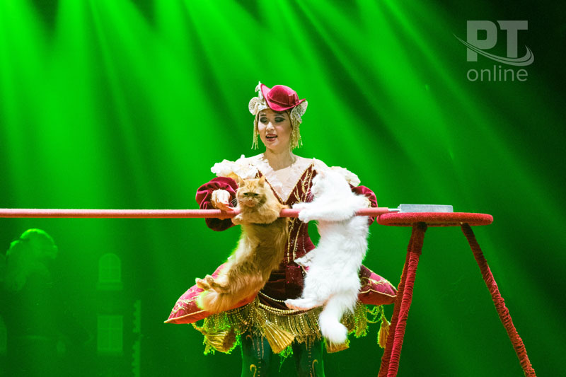 Победители республиканского проекта «Культурный дневник школьника» стали первыми зрителями программы «Всё будет хорошо!»