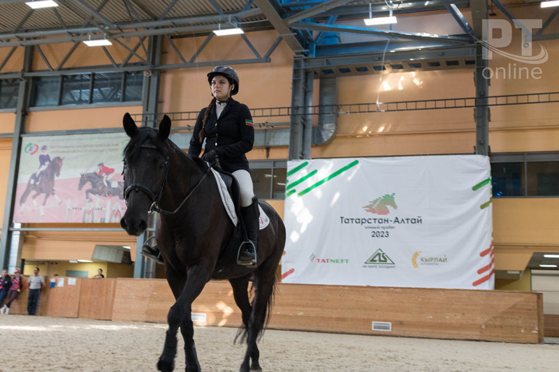 Златогривые подарки алтайским коневодам