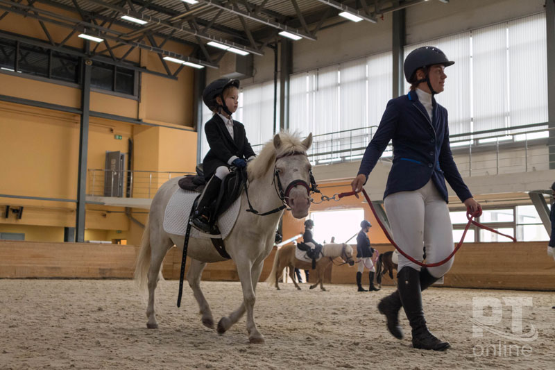 Златогривые подарки алтайским коневодам