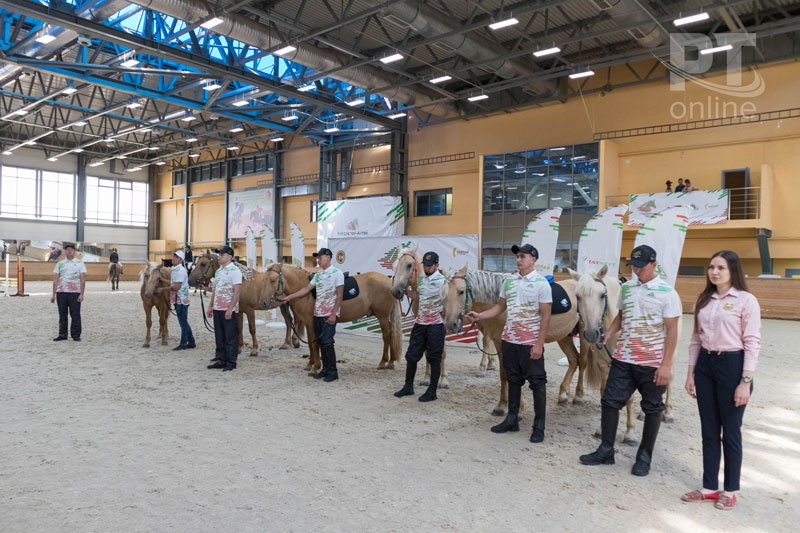 Златогривые подарки алтайским коневодам