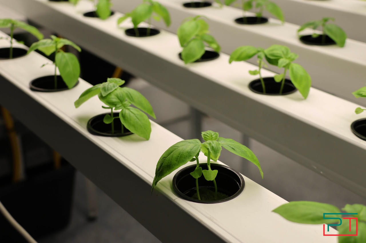 ТатАгроЭкспо 2024