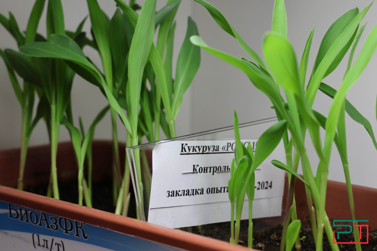 ТатАгроЭкспо 2024