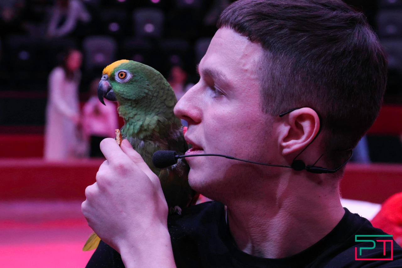 Дрессированные попугаи в Казанском цирке