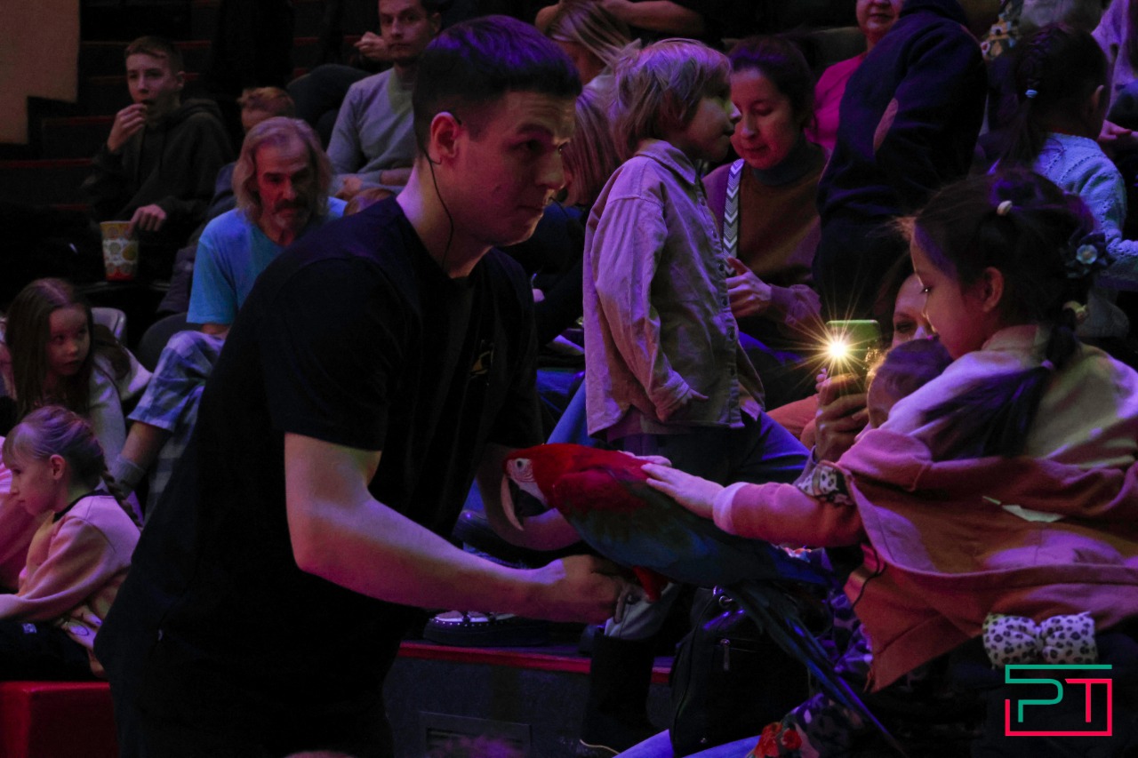 Дрессированные попугаи в Казанском цирке