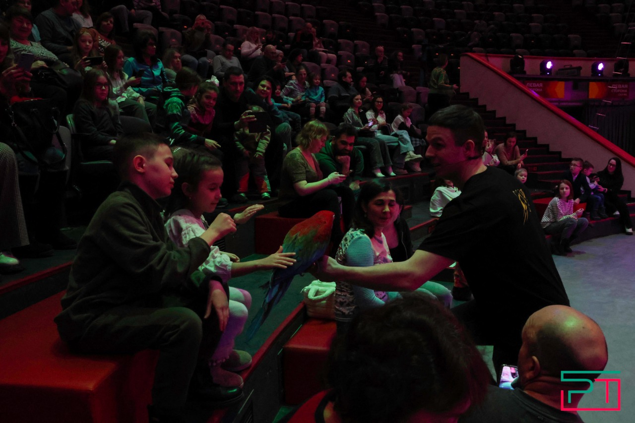 Дрессированные попугаи в Казанском цирке