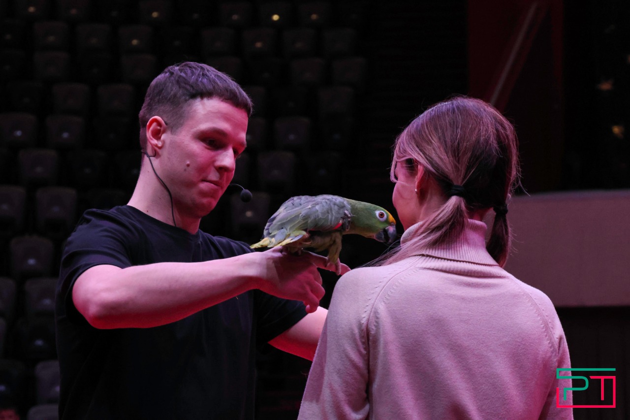 Дрессированные попугаи в Казанском цирке