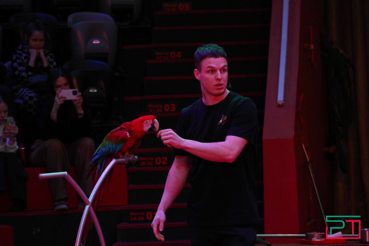 Дрессированные попугаи в Казанском цирке