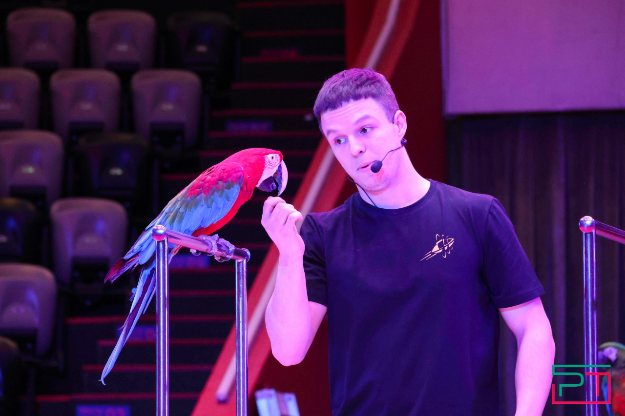 Дрессированные попугаи в Казанском цирке