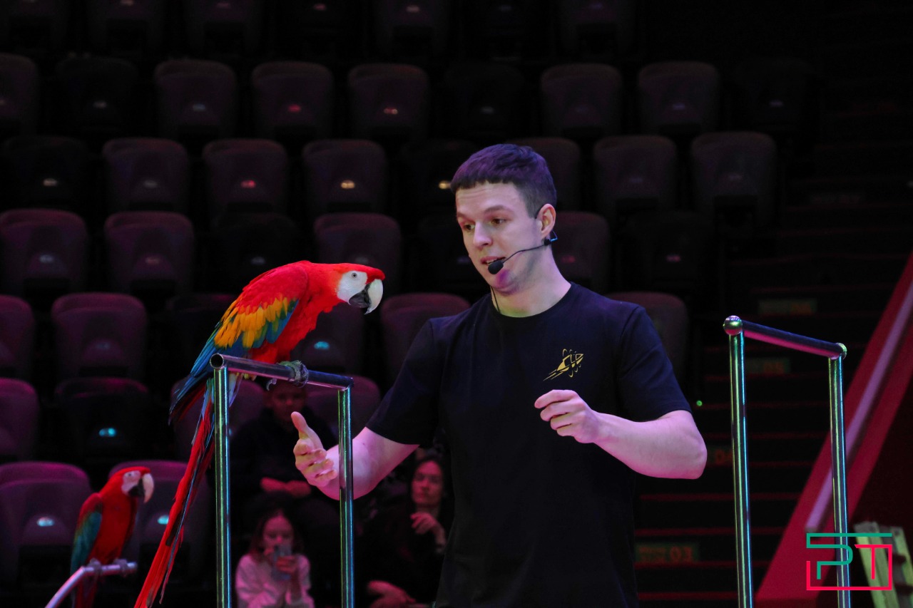 Дрессированные попугаи в Казанском цирке