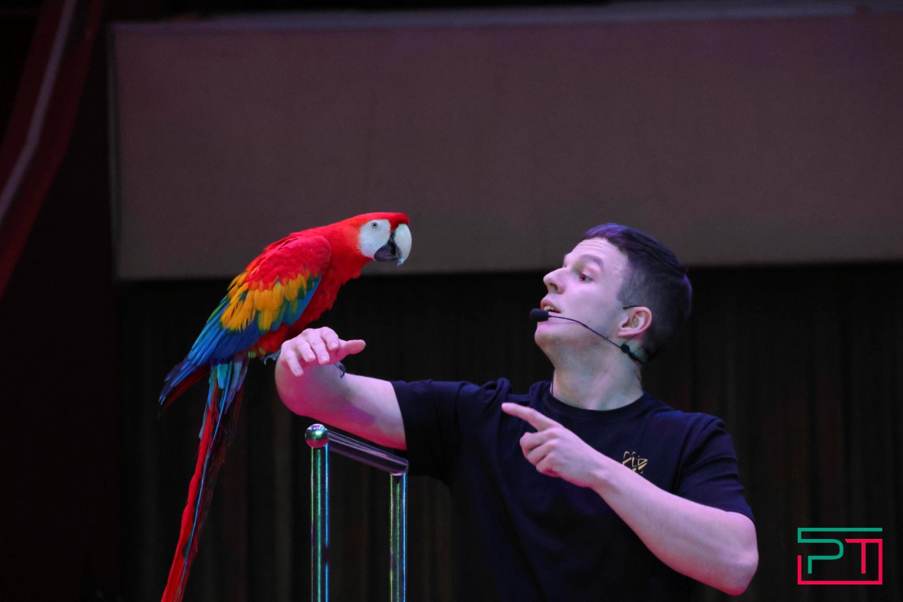 Дрессированные попугаи в Казанском цирке