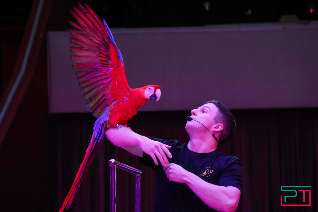 Дрессированные попугаи в Казанском цирке