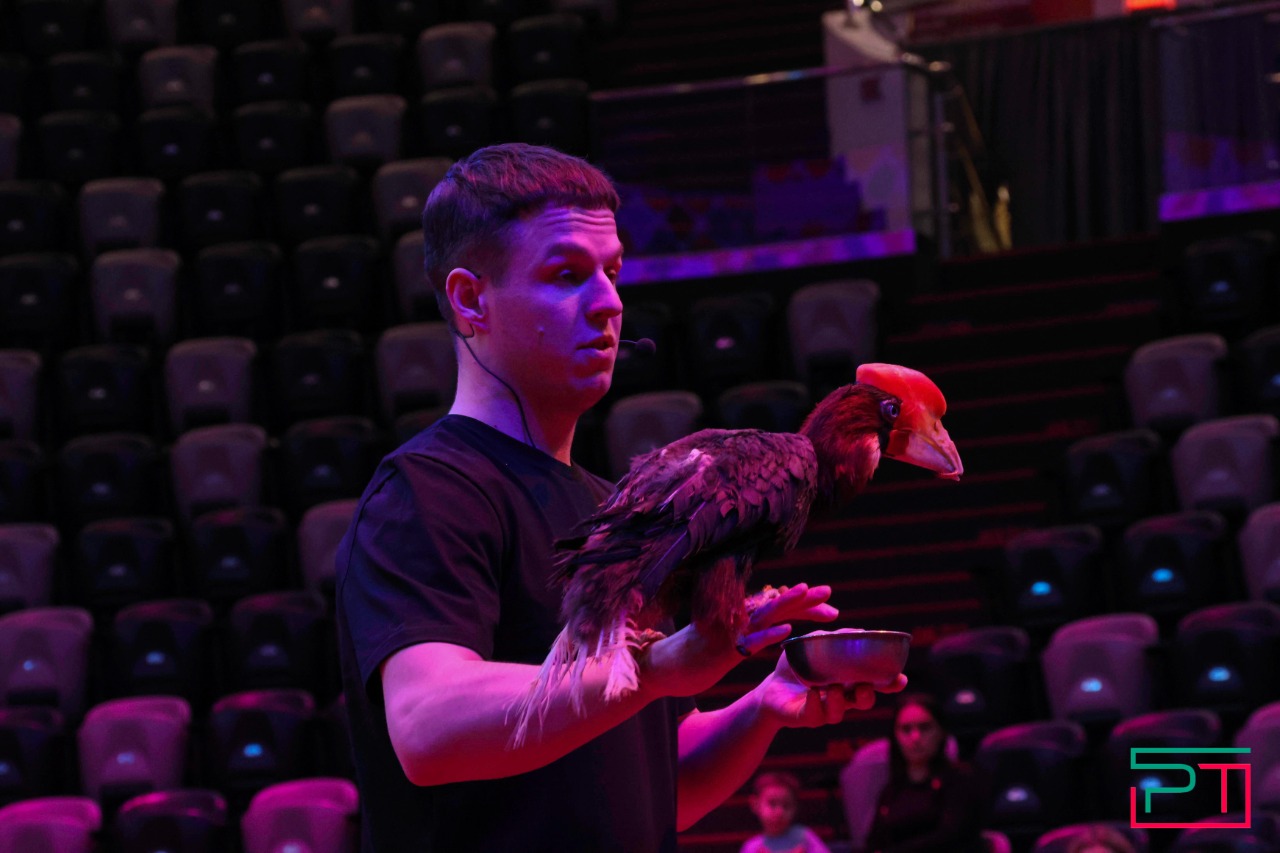 Дрессированные попугаи в Казанском цирке