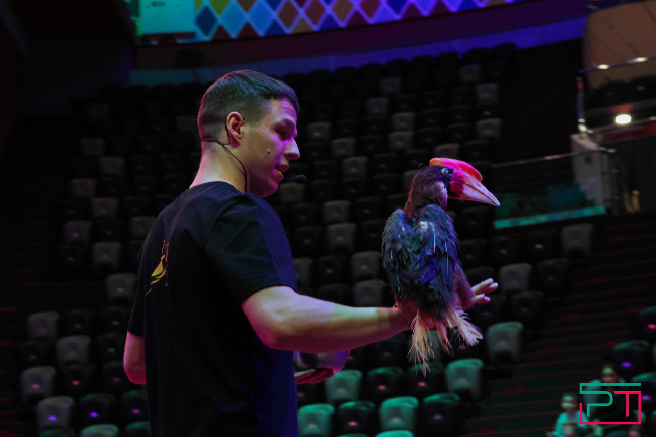 Дрессированные попугаи в Казанском цирке