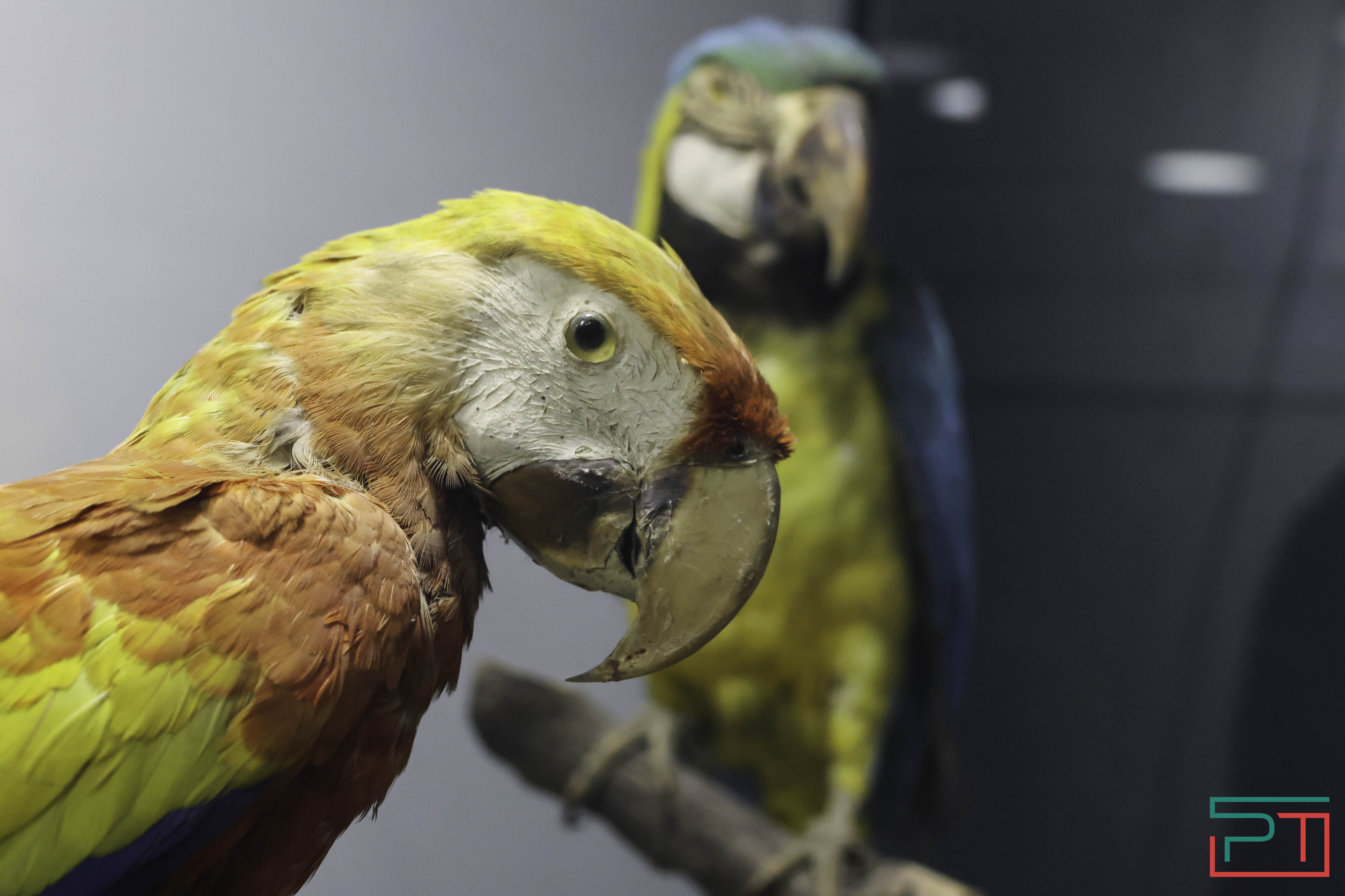 Выставка раритетов открылась в Нацмузее РТ