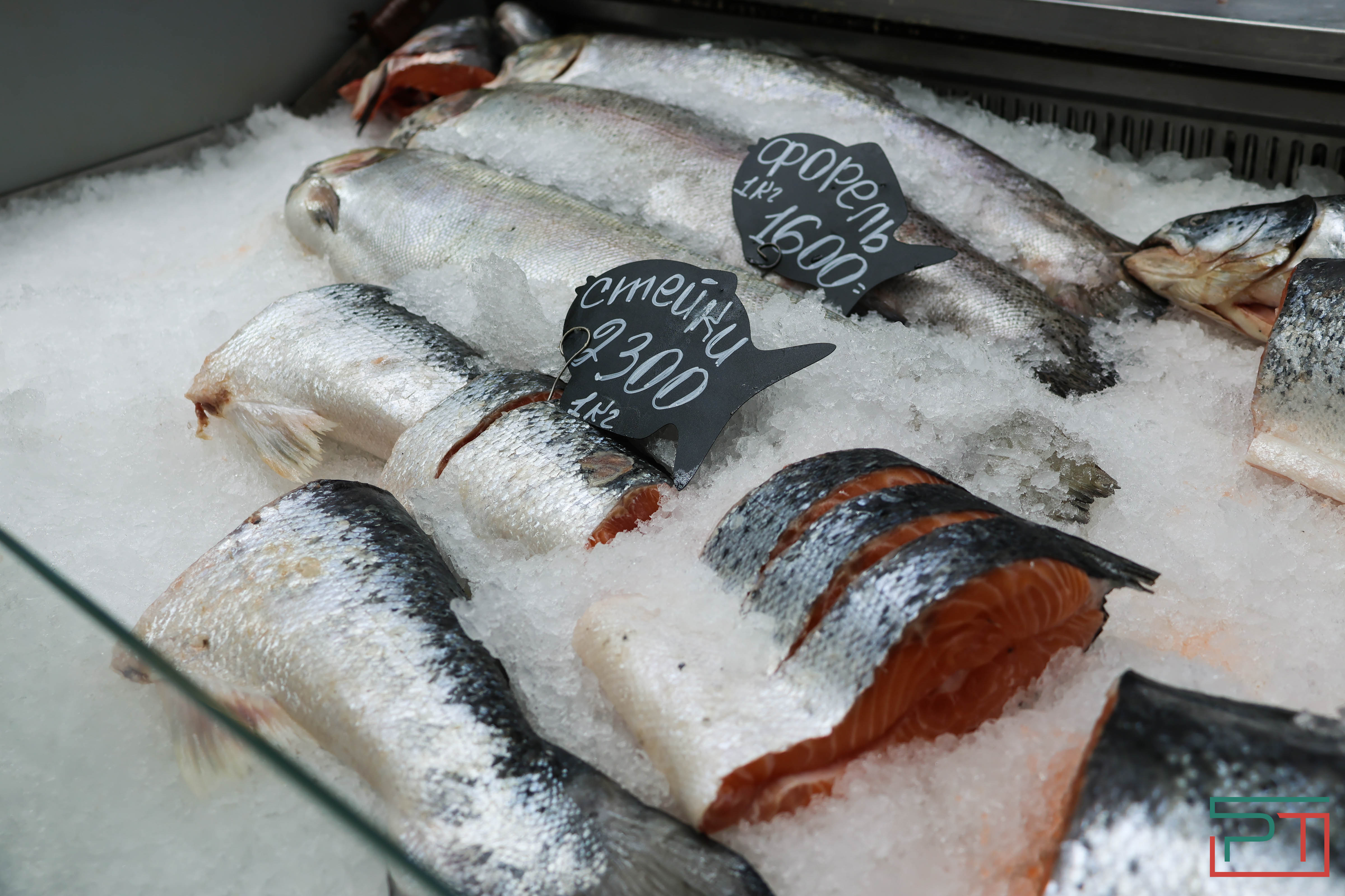 Минниханов открыл халяль-ярмарку Kazan Halal Market