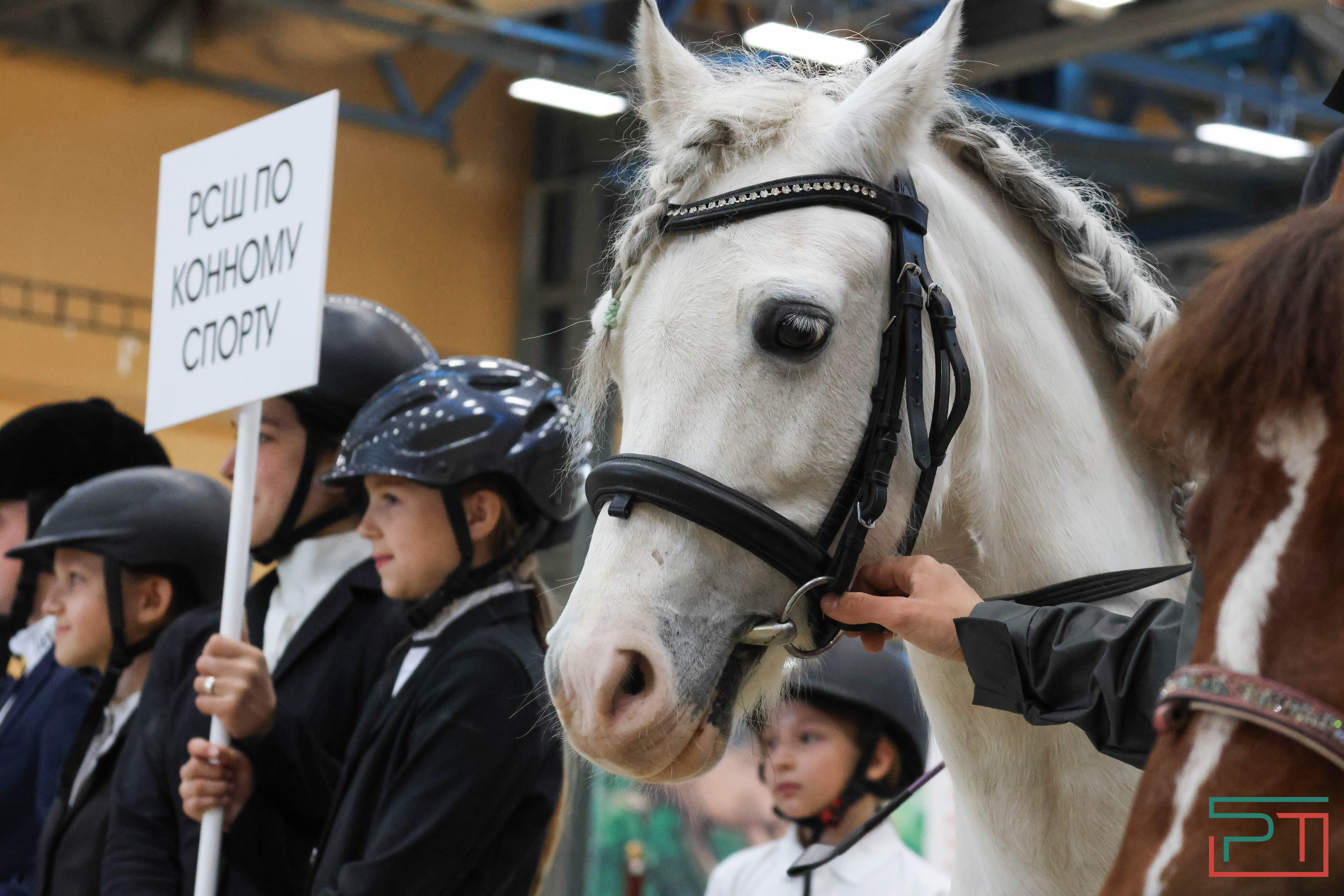 Детский кубок Федерации конного спорта РТ прошел в Казани
