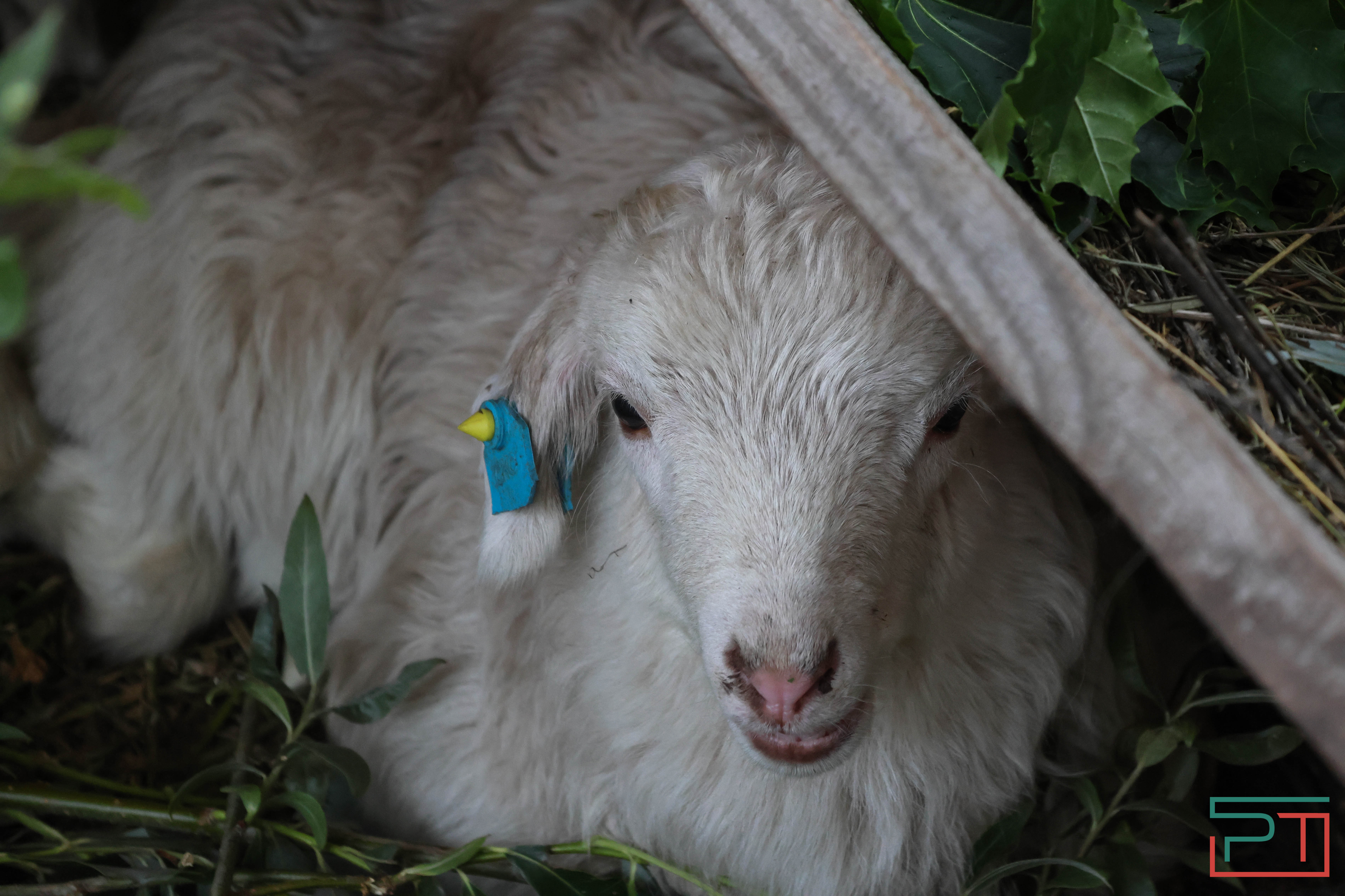 Закрытие Игр БРИКС на Сабантуе в Казани