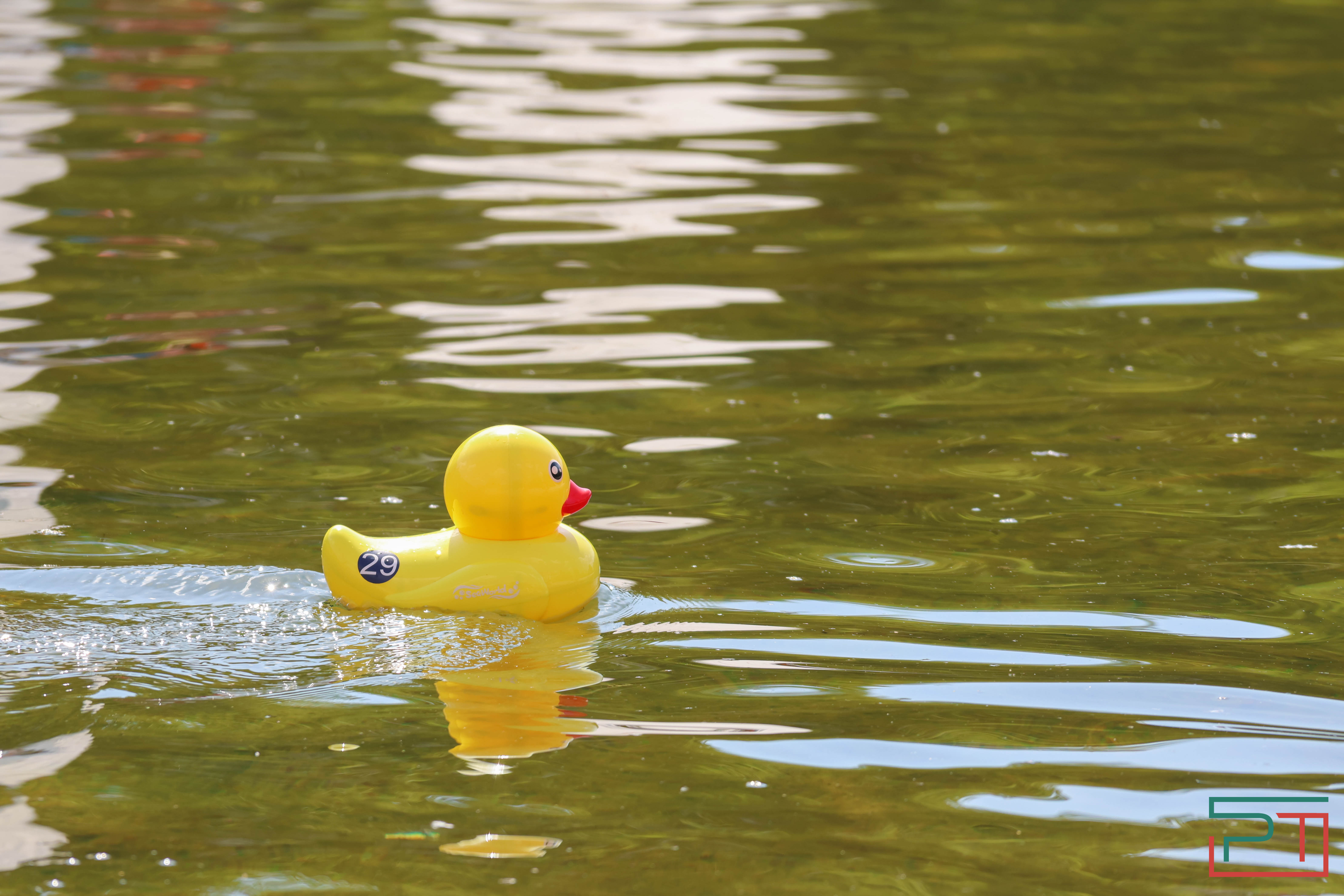 Благотворительная регата прошла в парке "Черное озеро"