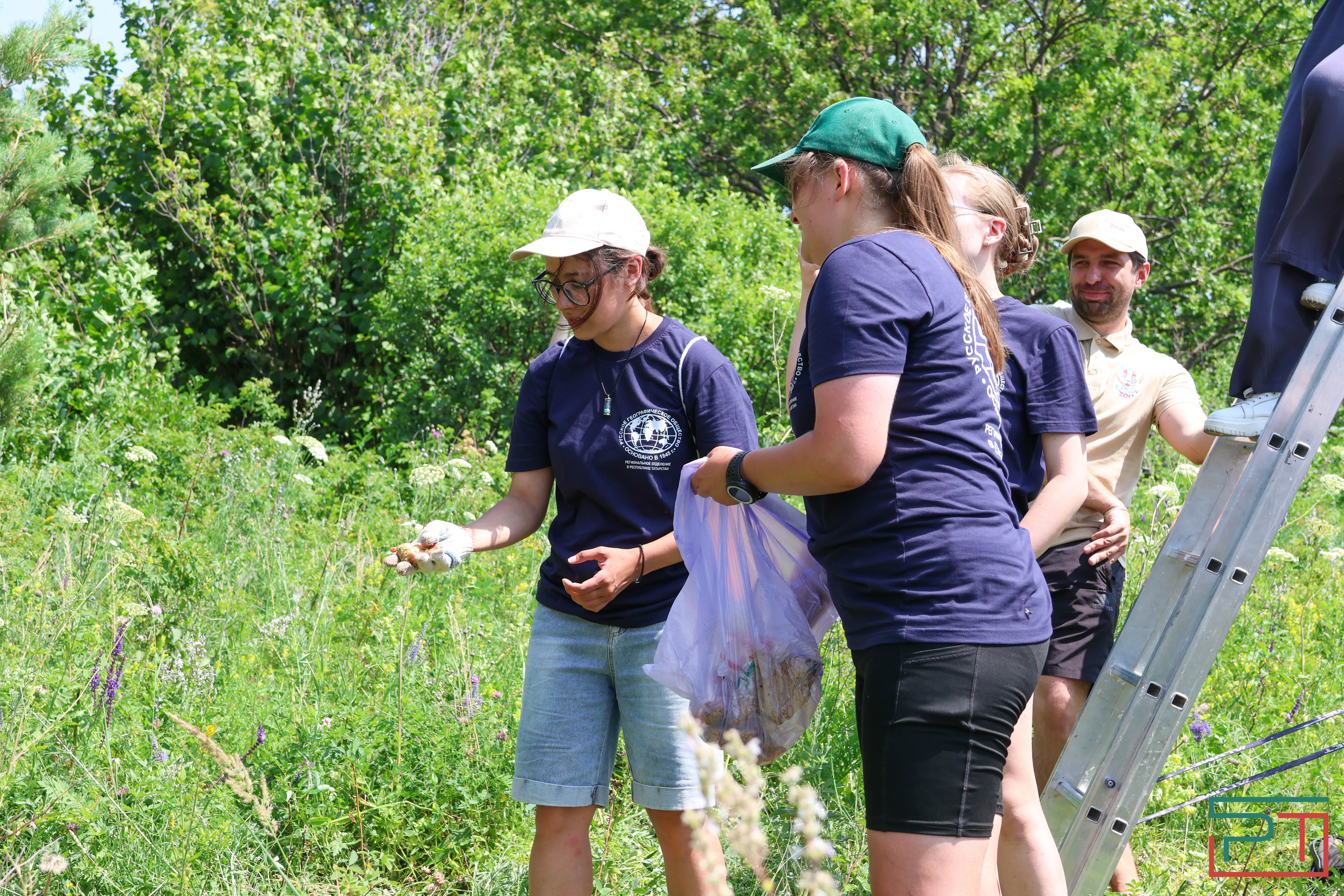 В Камском Устье создали первый центр по реинтродукции соколов-балобанов