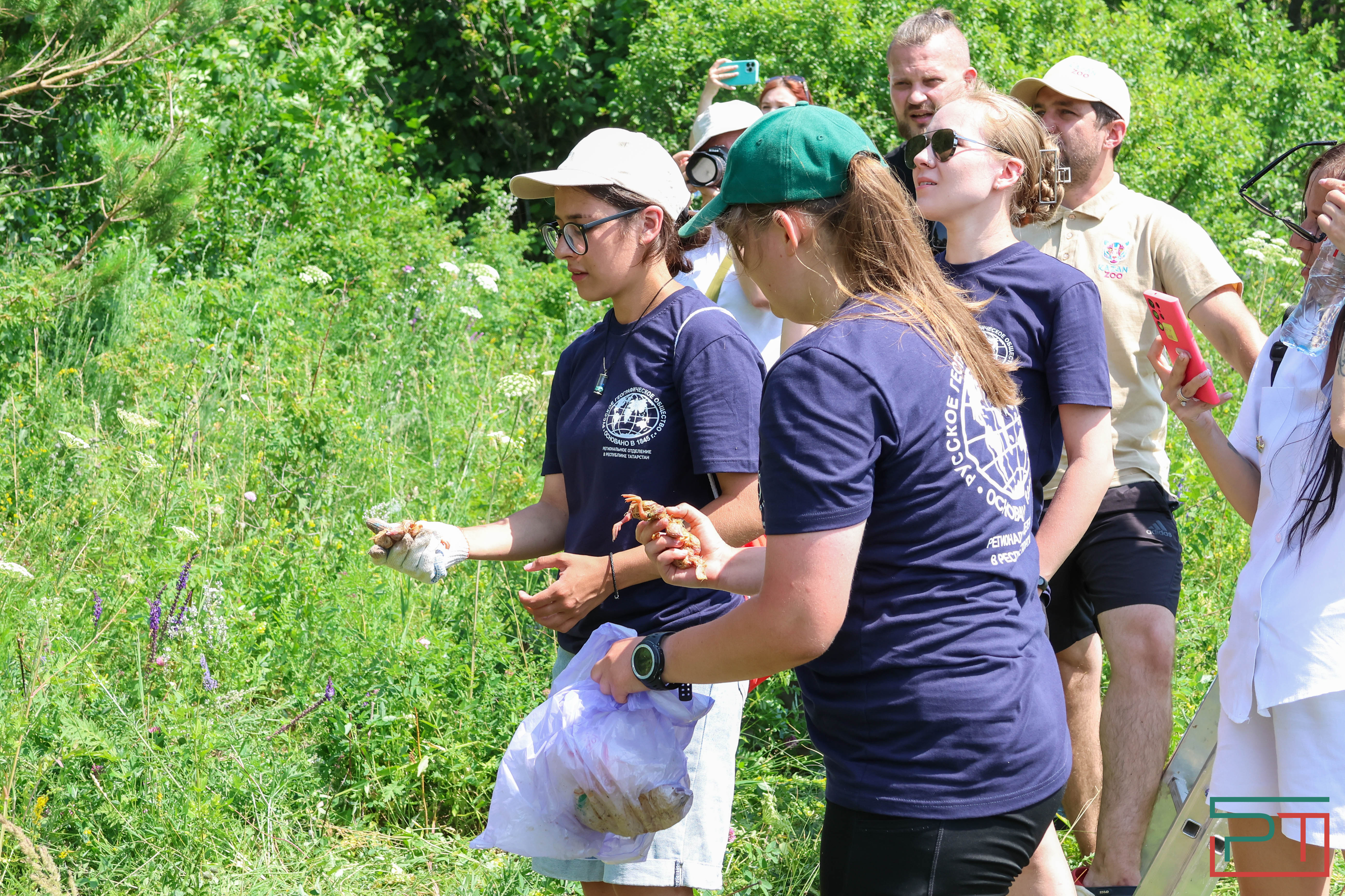 В Камском Устье создали первый центр по реинтродукции соколов-балобанов