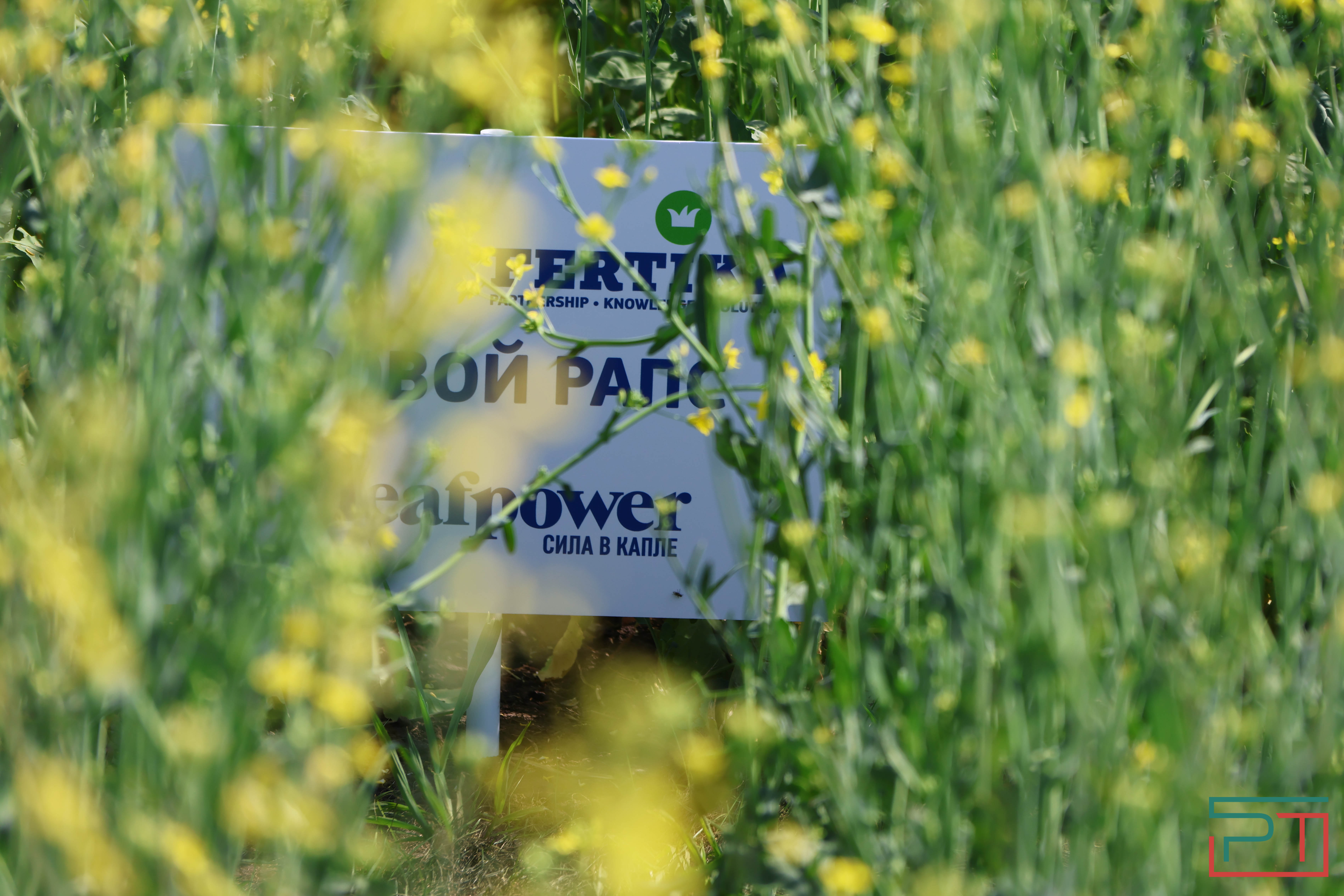 Агропромышленная выставка "АГРОВОЛГА-2024" проходит в Казани