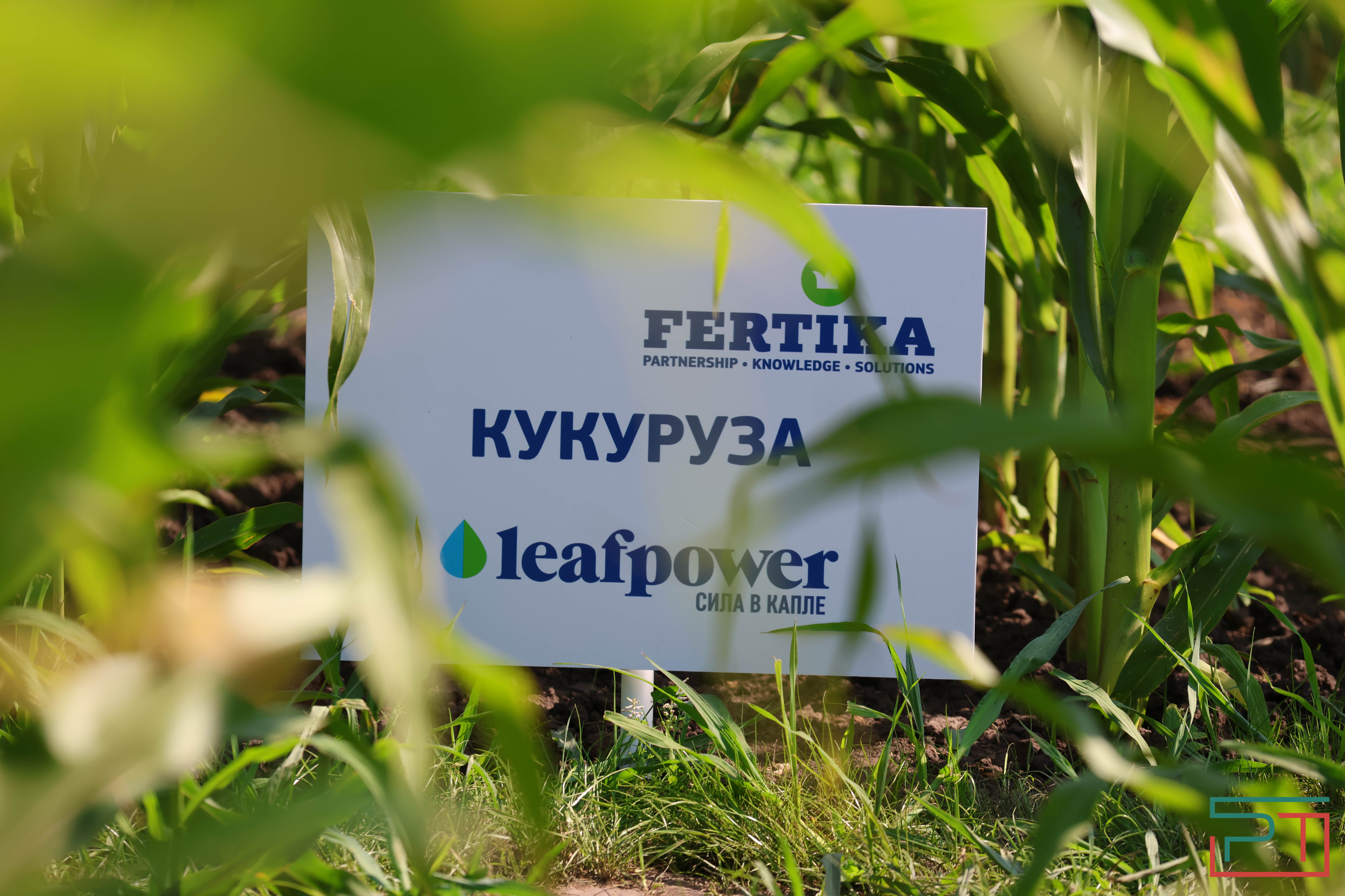 Агропромышленная выставка "АГРОВОЛГА-2024" проходит в Казани