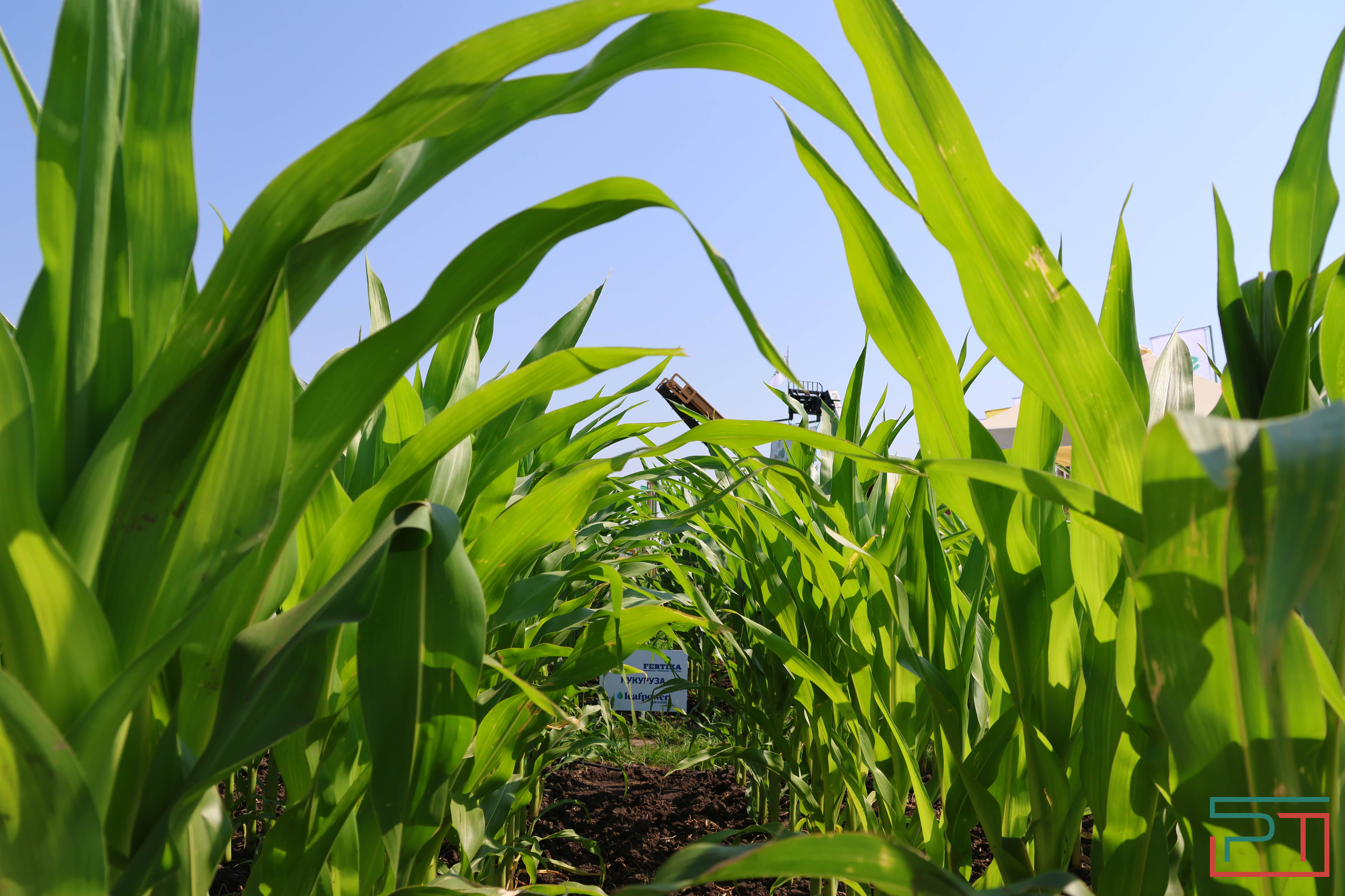 Агропромышленная выставка "АГРОВОЛГА-2024" проходит в Казани