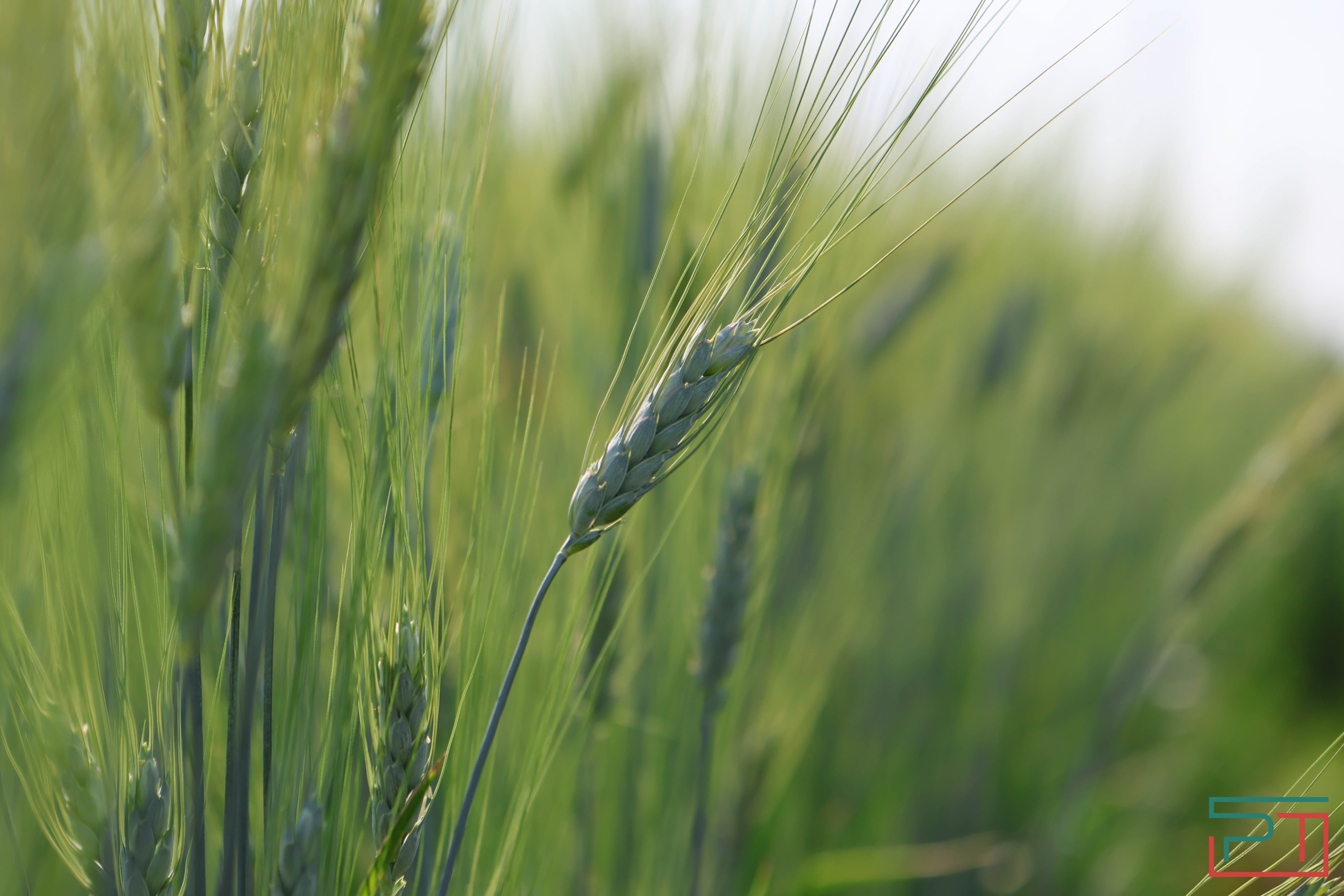 Агропромышленная выставка "АГРОВОЛГА-2024" проходит в Казани