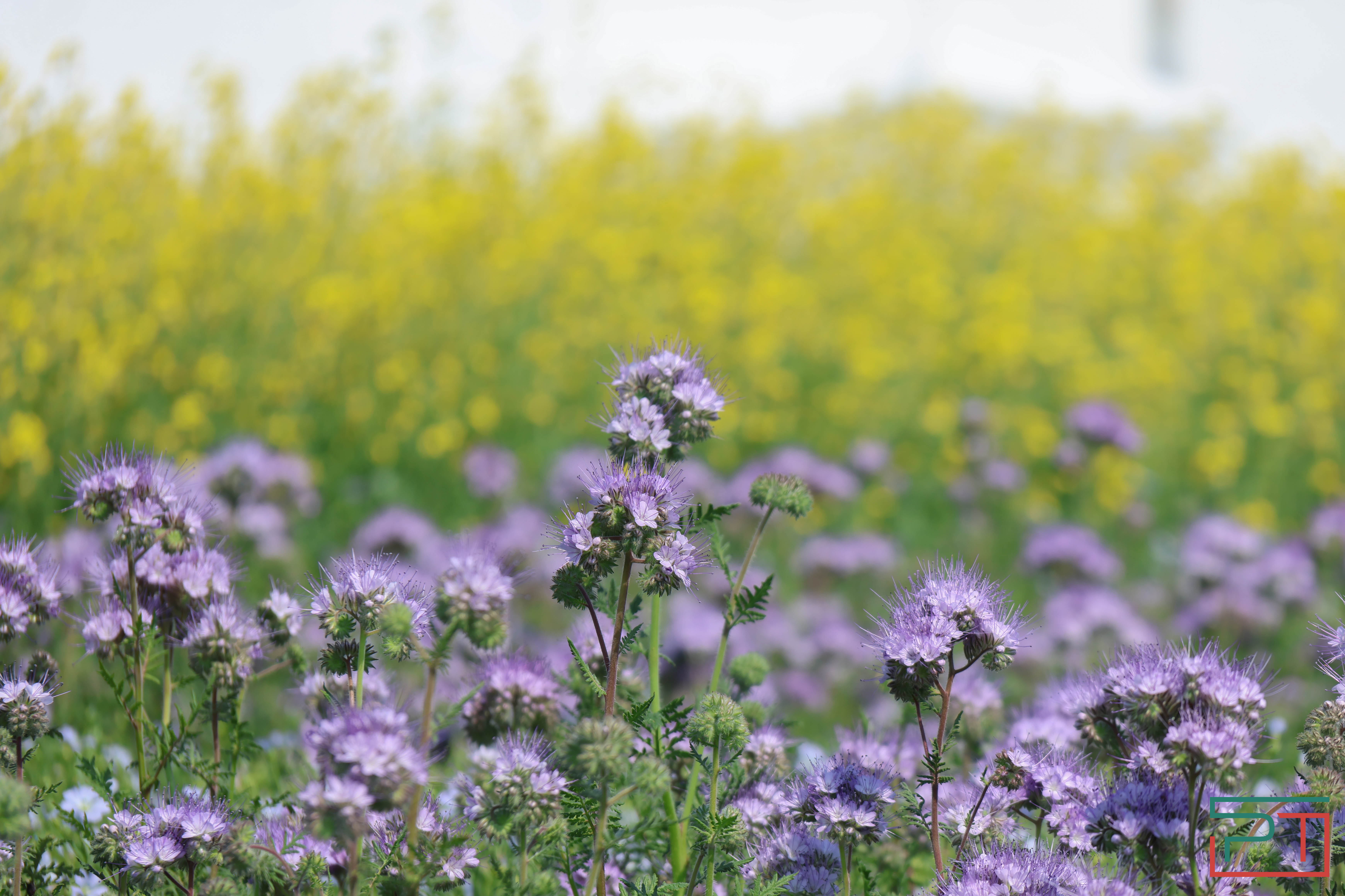 Агропромышленная выставка "АГРОВОЛГА-2024" проходит в Казани