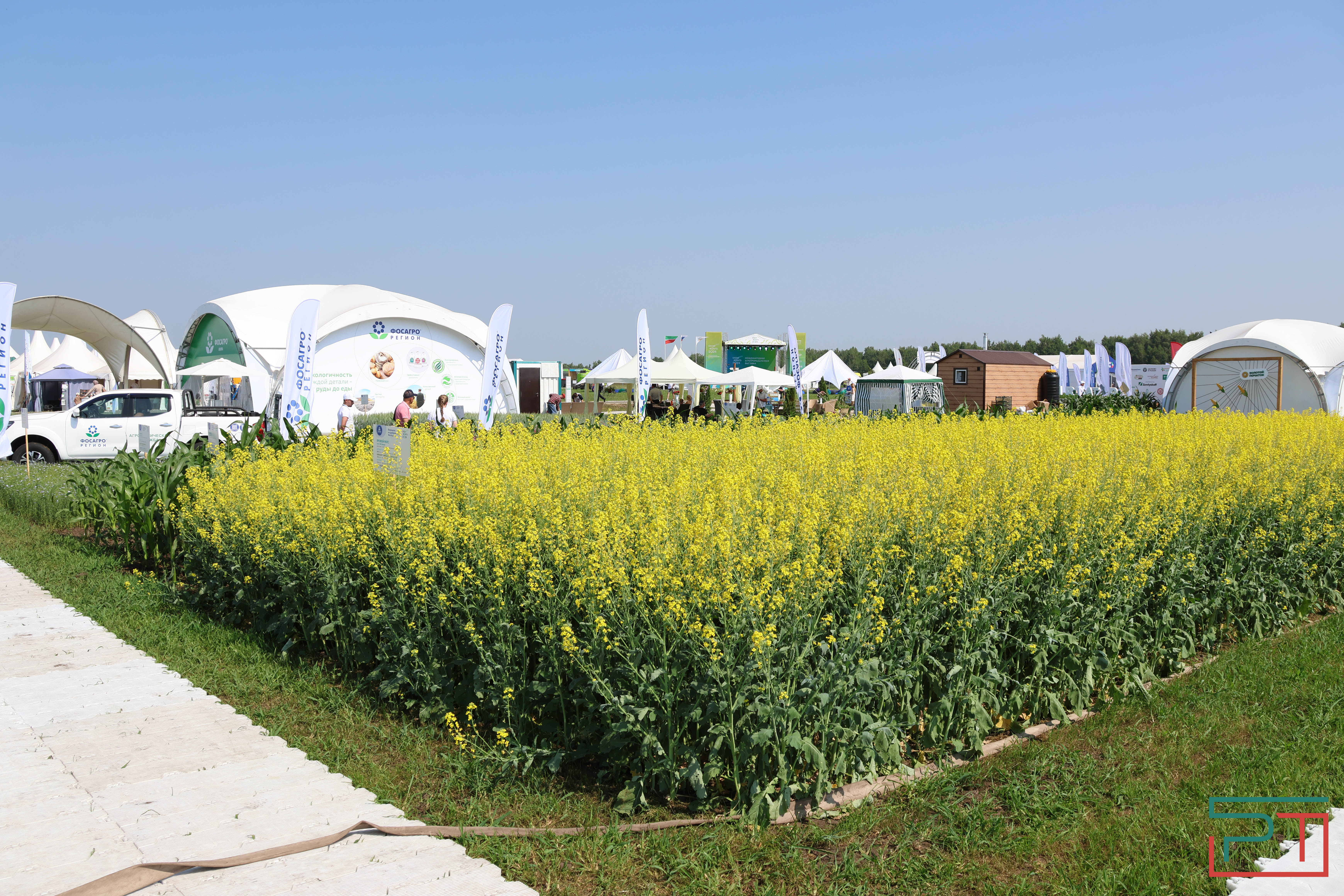 Агропромышленная выставка "АГРОВОЛГА-2024" проходит в Казани