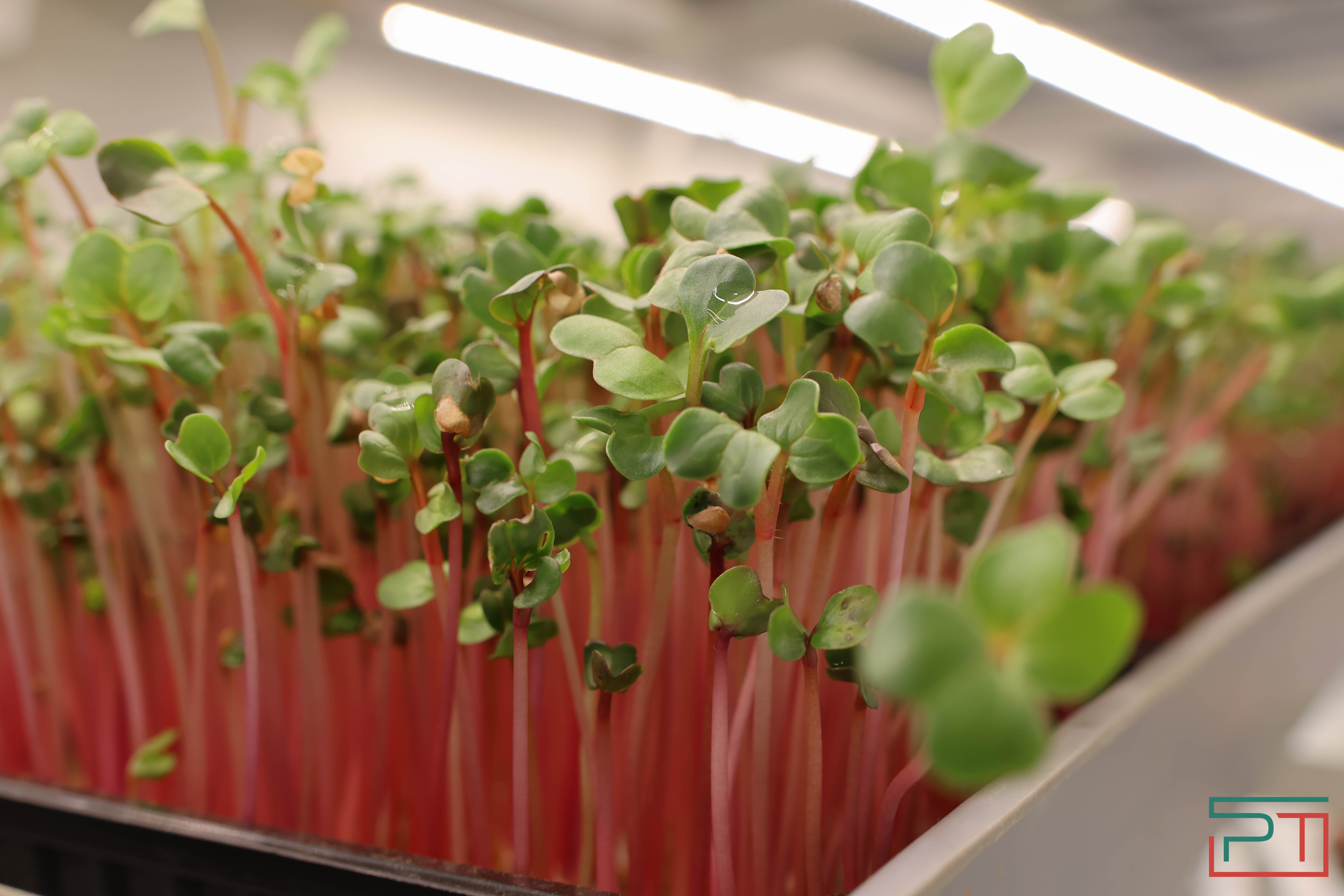 Агропромышленная выставка "АГРОВОЛГА-2024" проходит в Казани