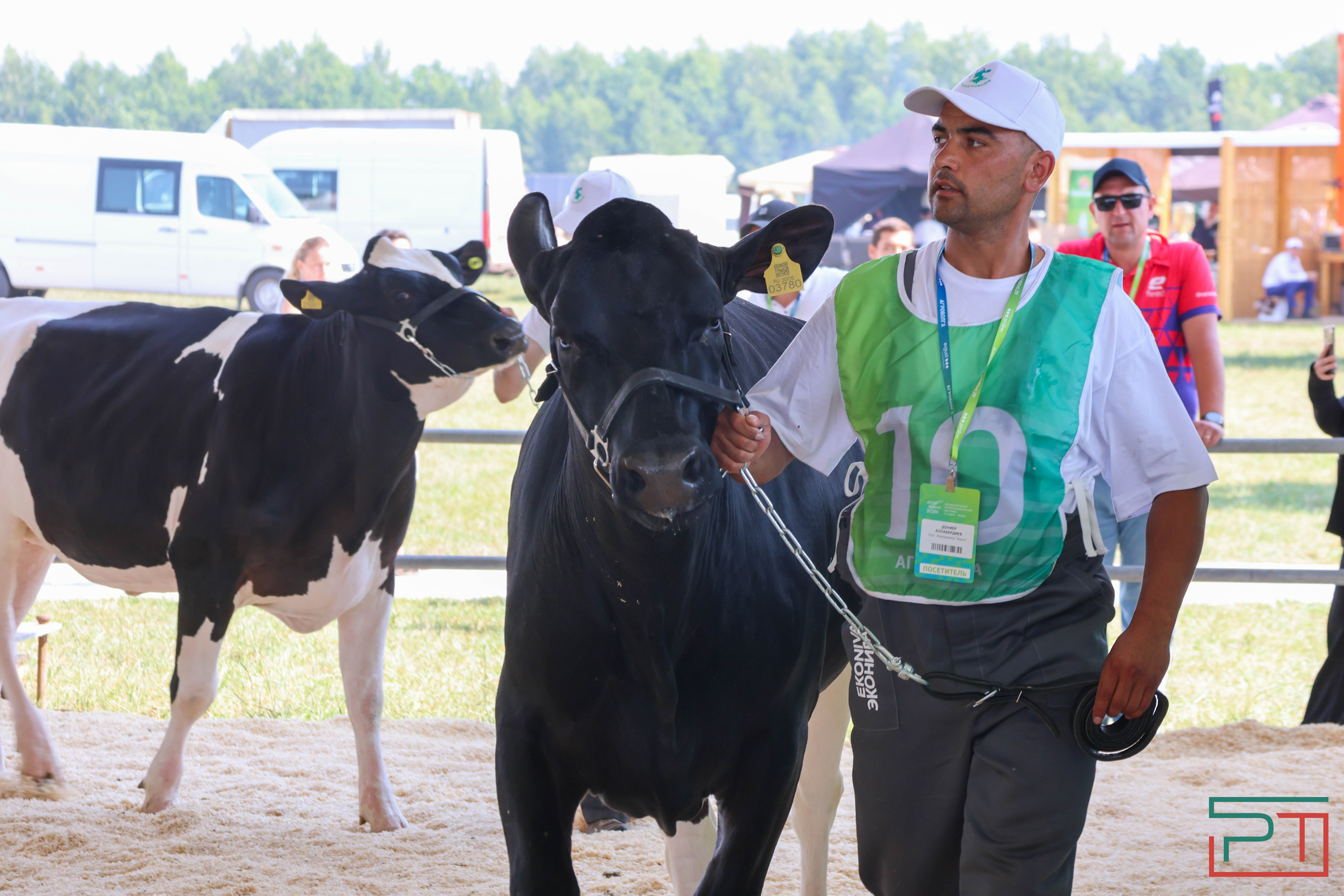 Агропромышленная выставка "АГРОВОЛГА-2024" проходит в Казани