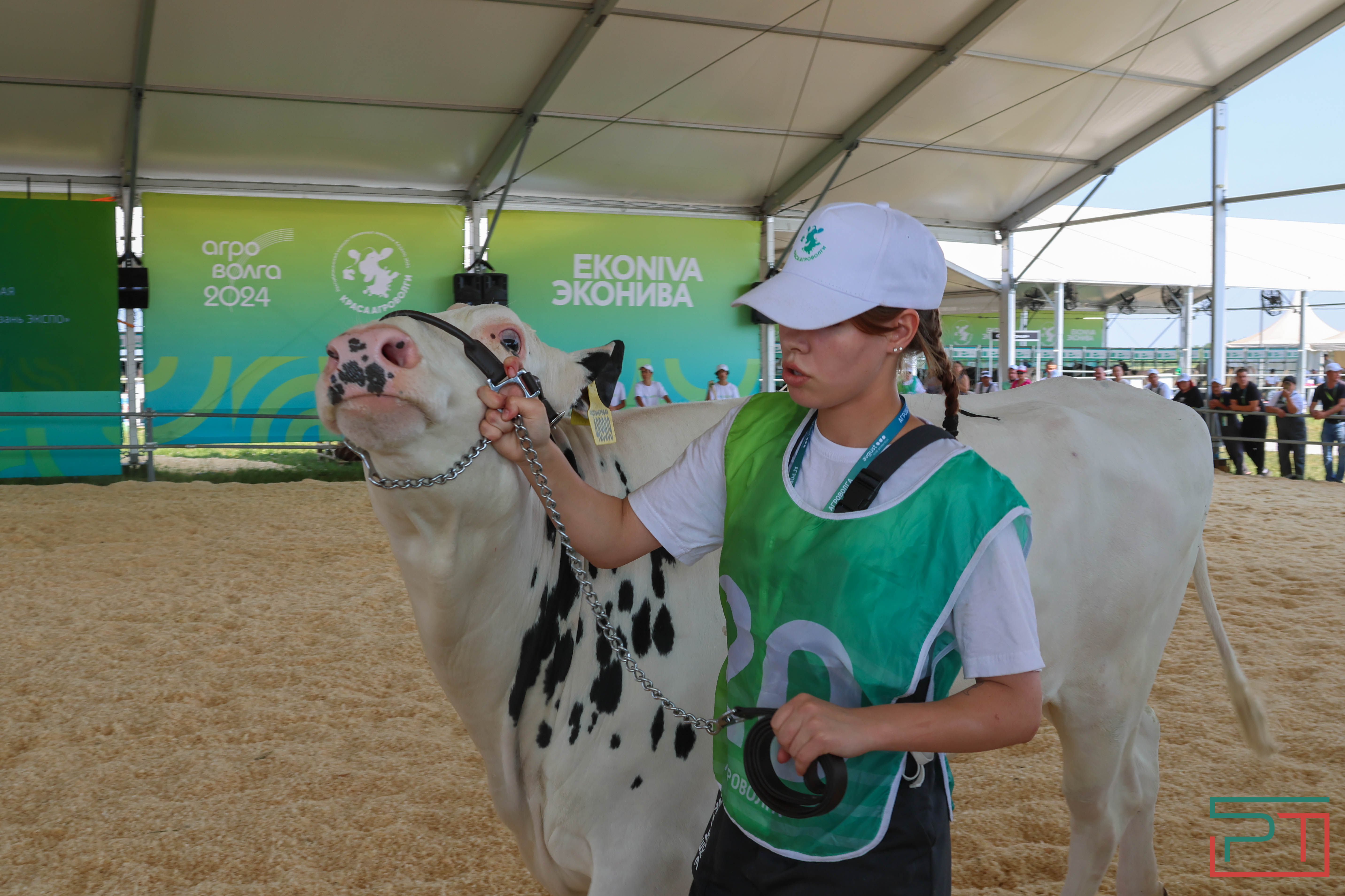 Агропромышленная выставка "АГРОВОЛГА-2024" проходит в Казани
