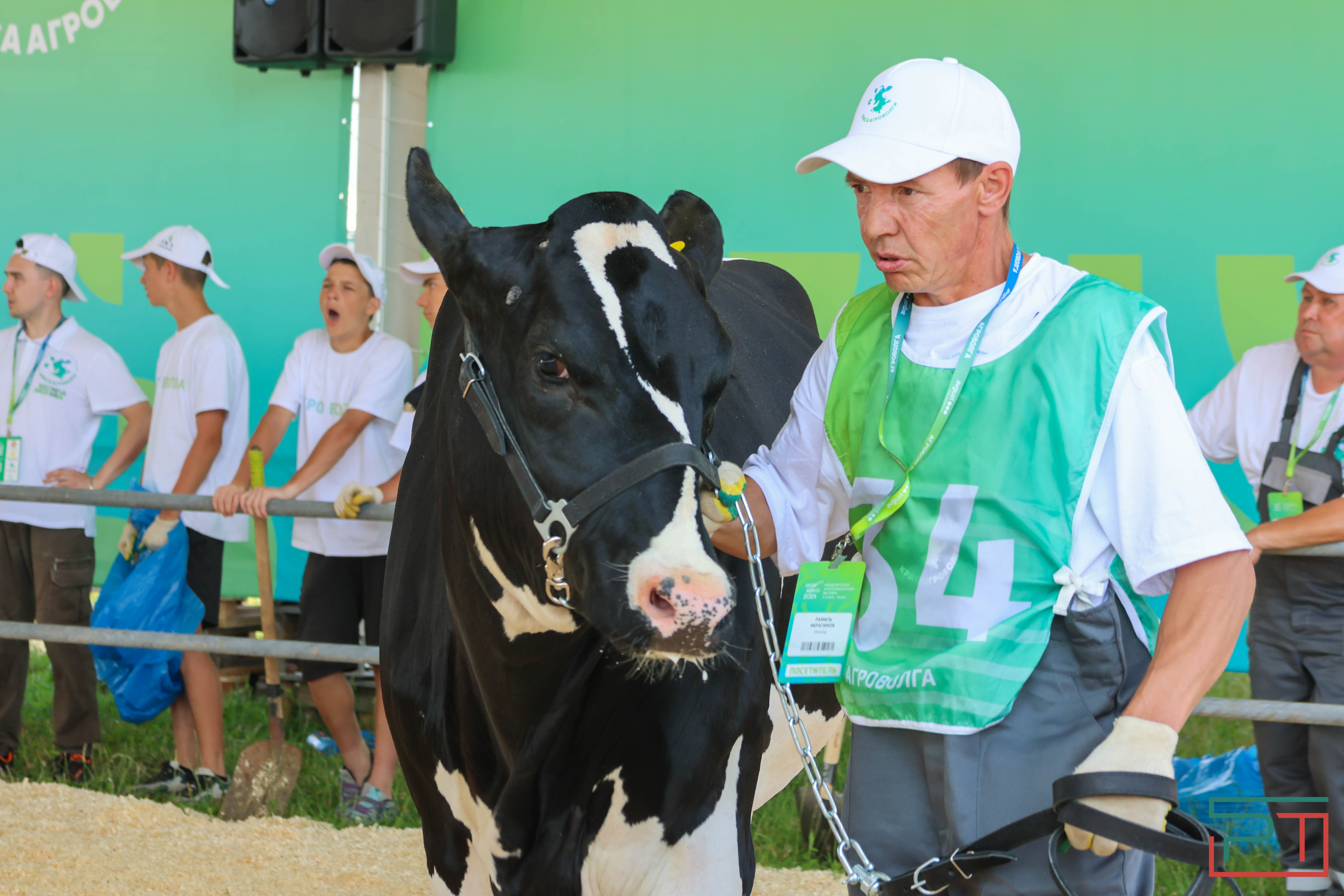 Агропромышленная выставка "АГРОВОЛГА-2024" проходит в Казани