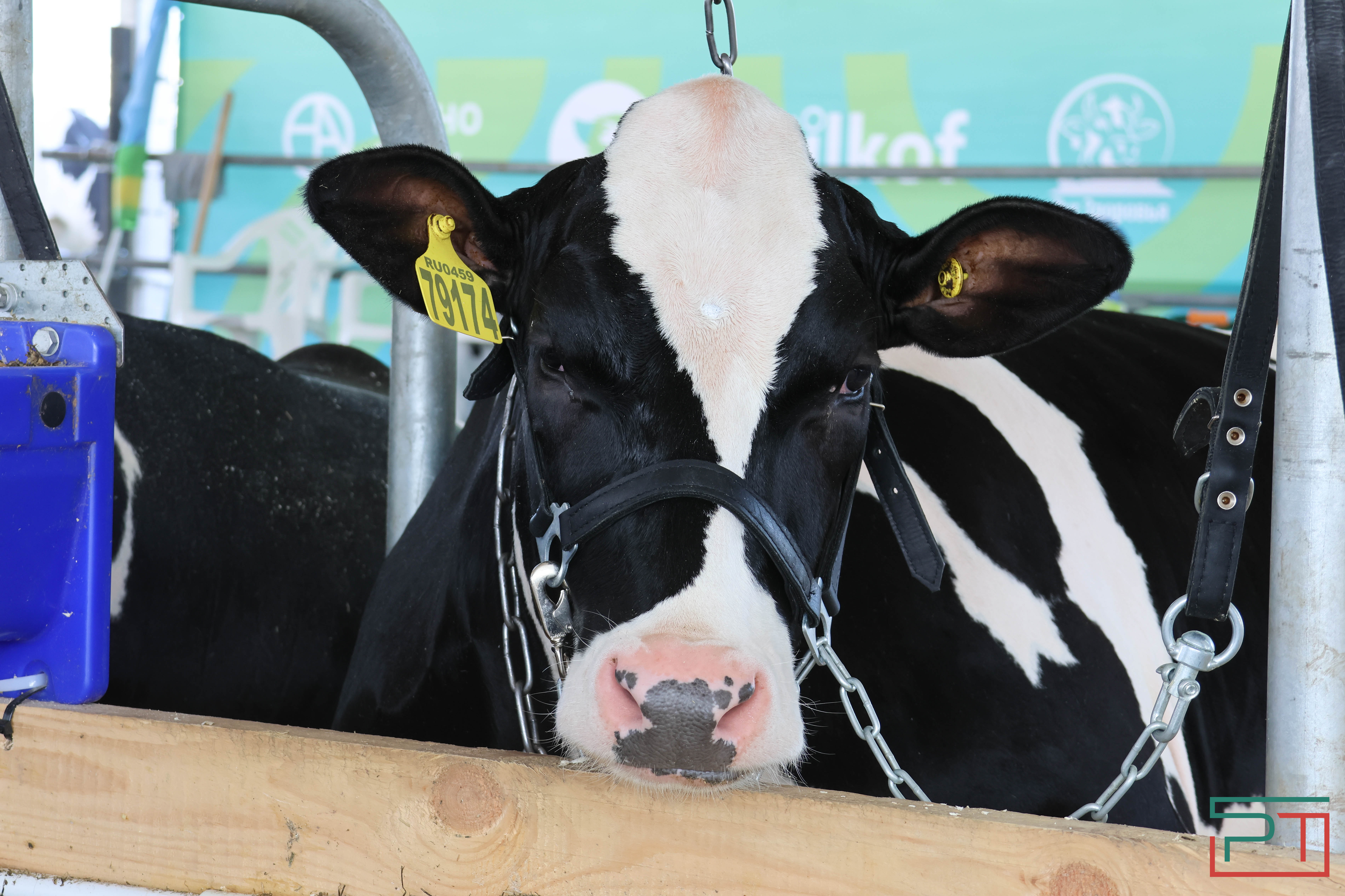 Агропромышленная выставка "АГРОВОЛГА-2024" проходит в Казани