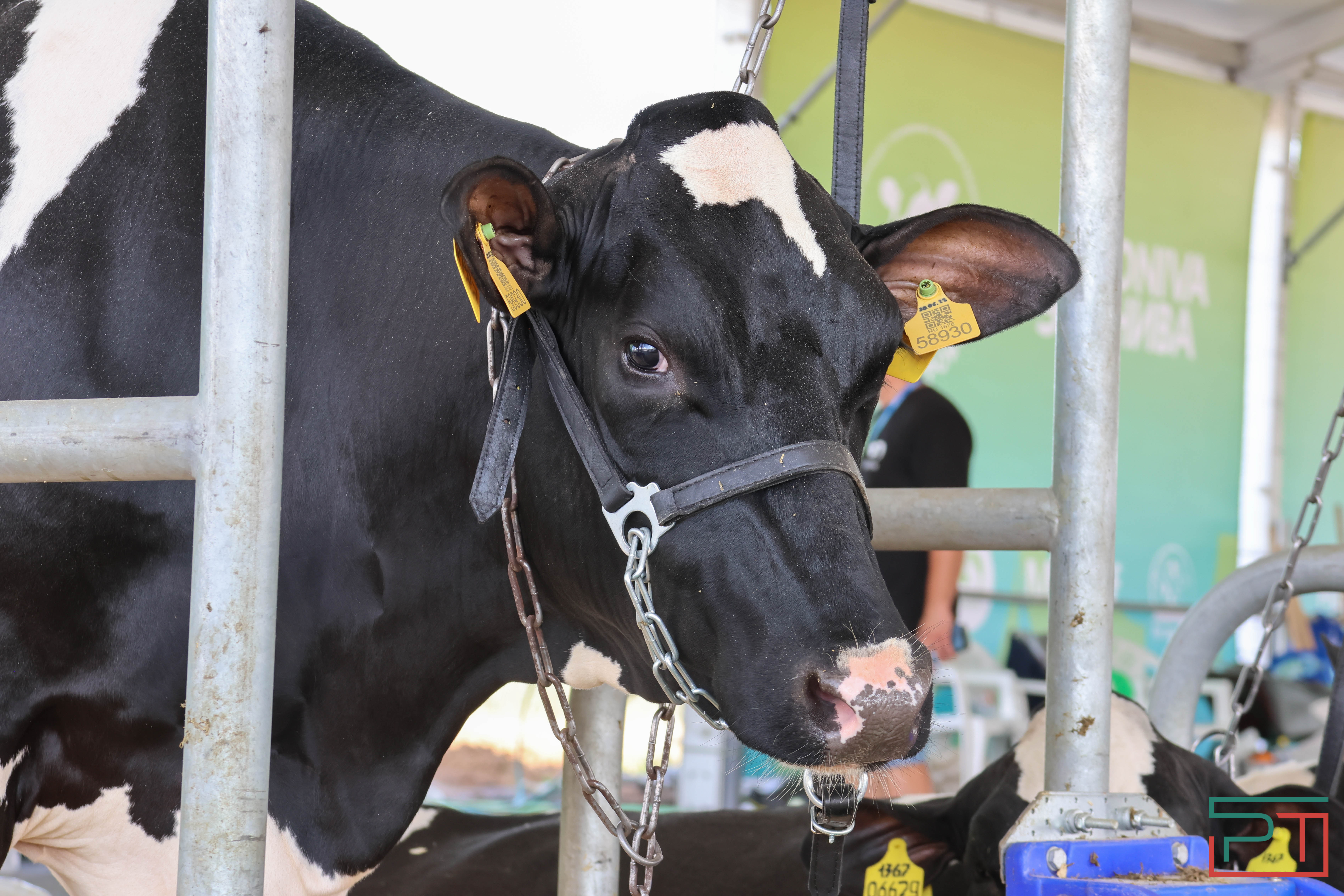 Агропромышленная выставка "АГРОВОЛГА-2024" проходит в Казани