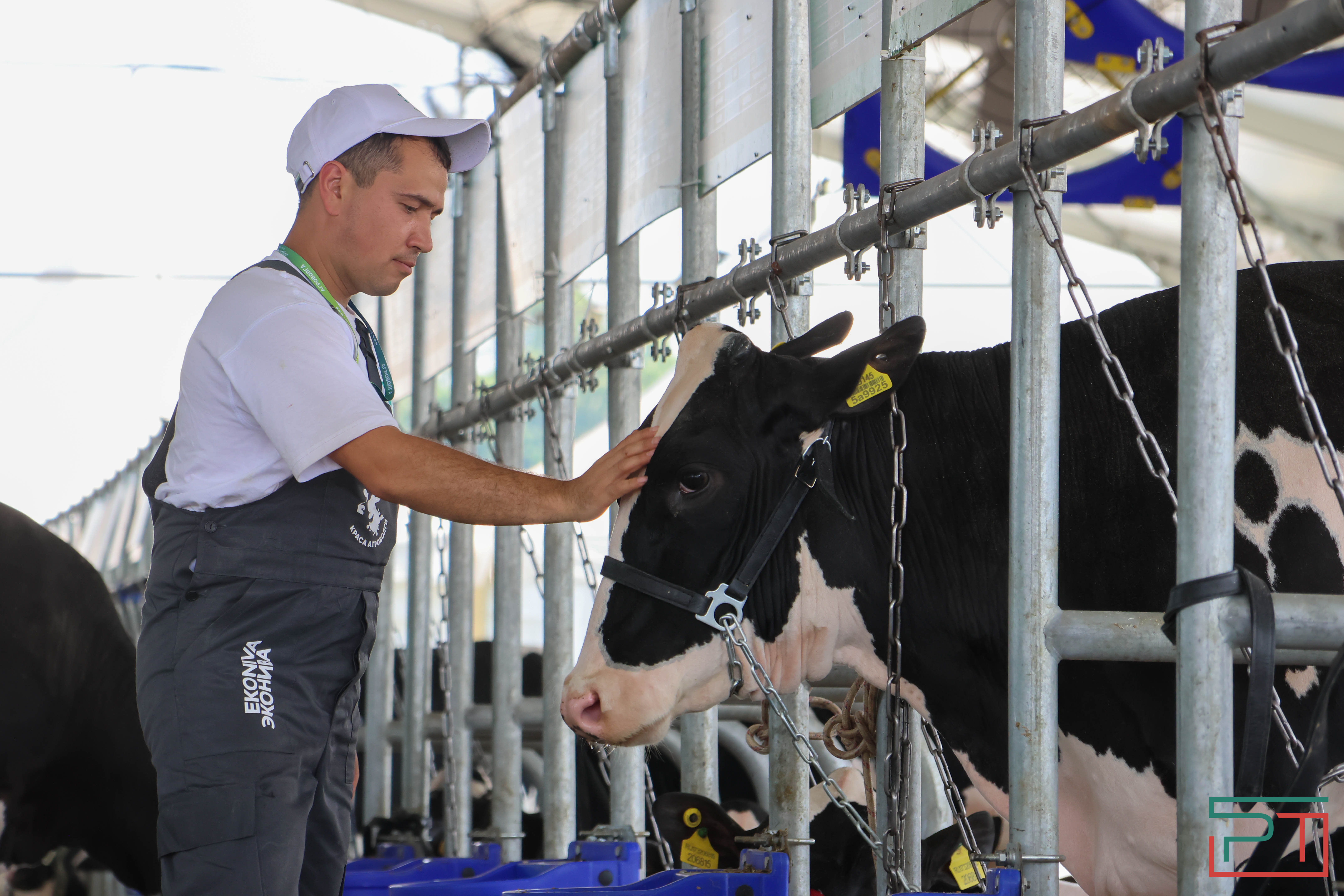 Агропромышленная выставка "АГРОВОЛГА-2024" проходит в Казани