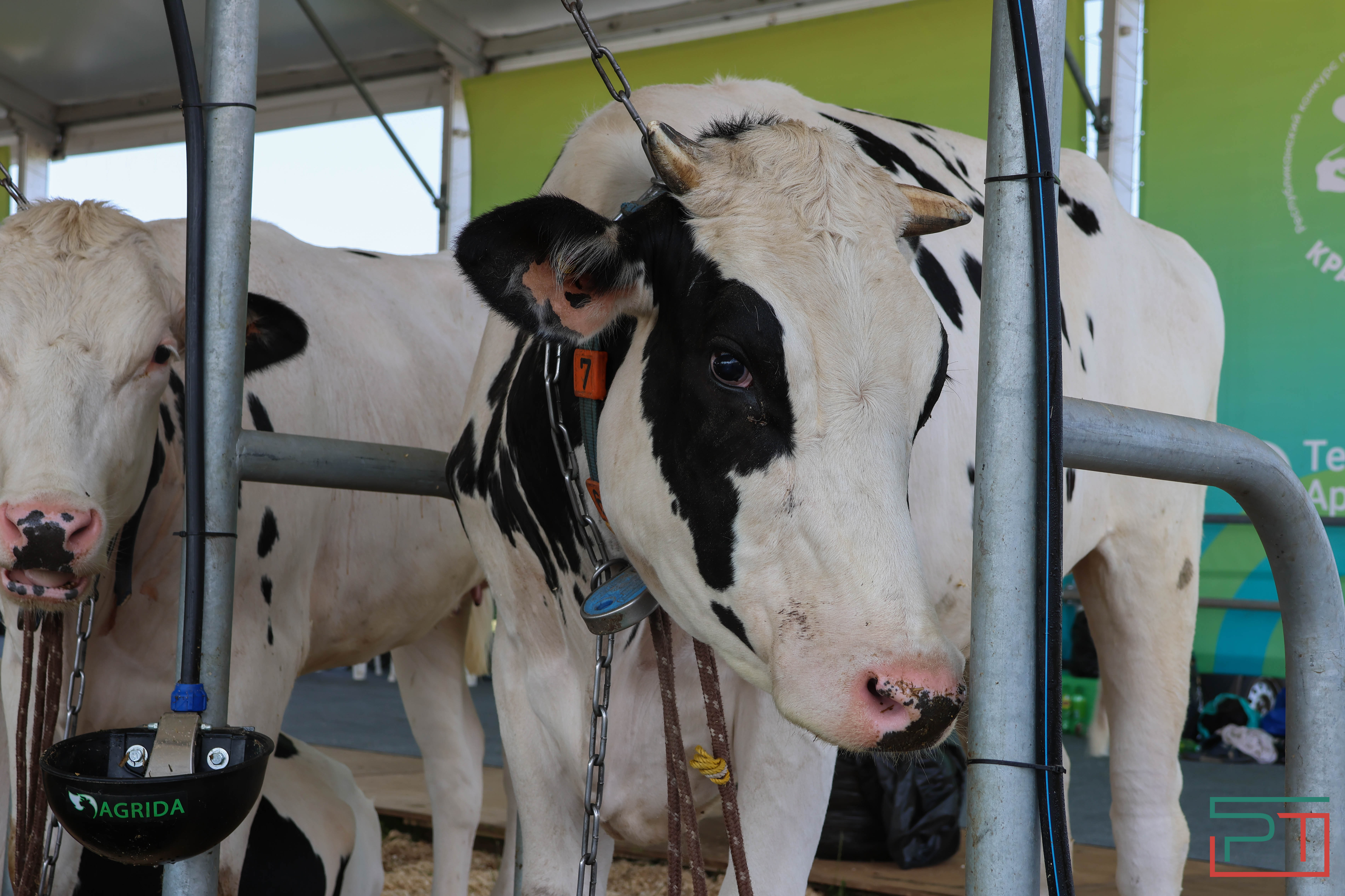 Агропромышленная выставка "АГРОВОЛГА-2024" проходит в Казани