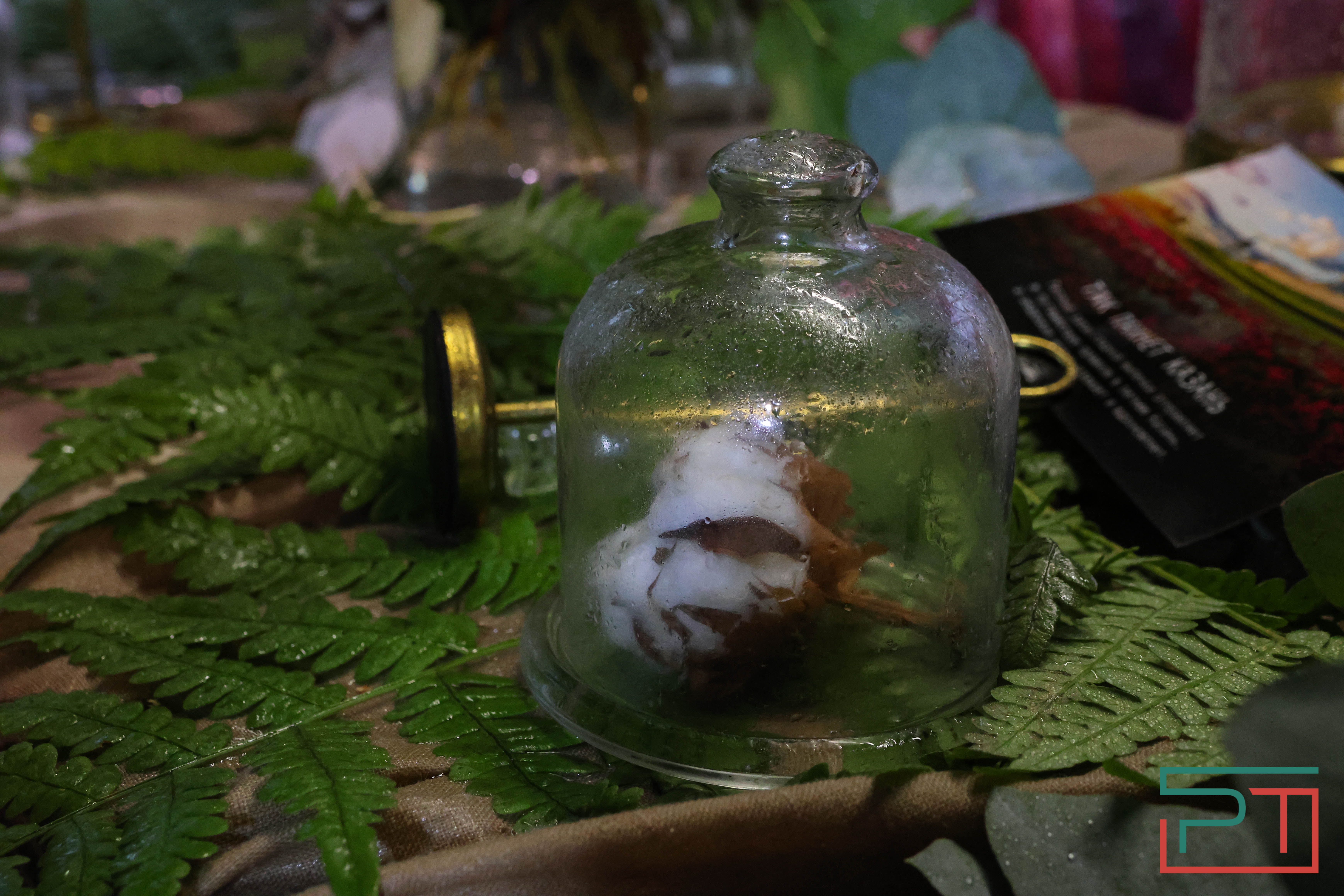 Семейный экофестиваль «Вместе просто»