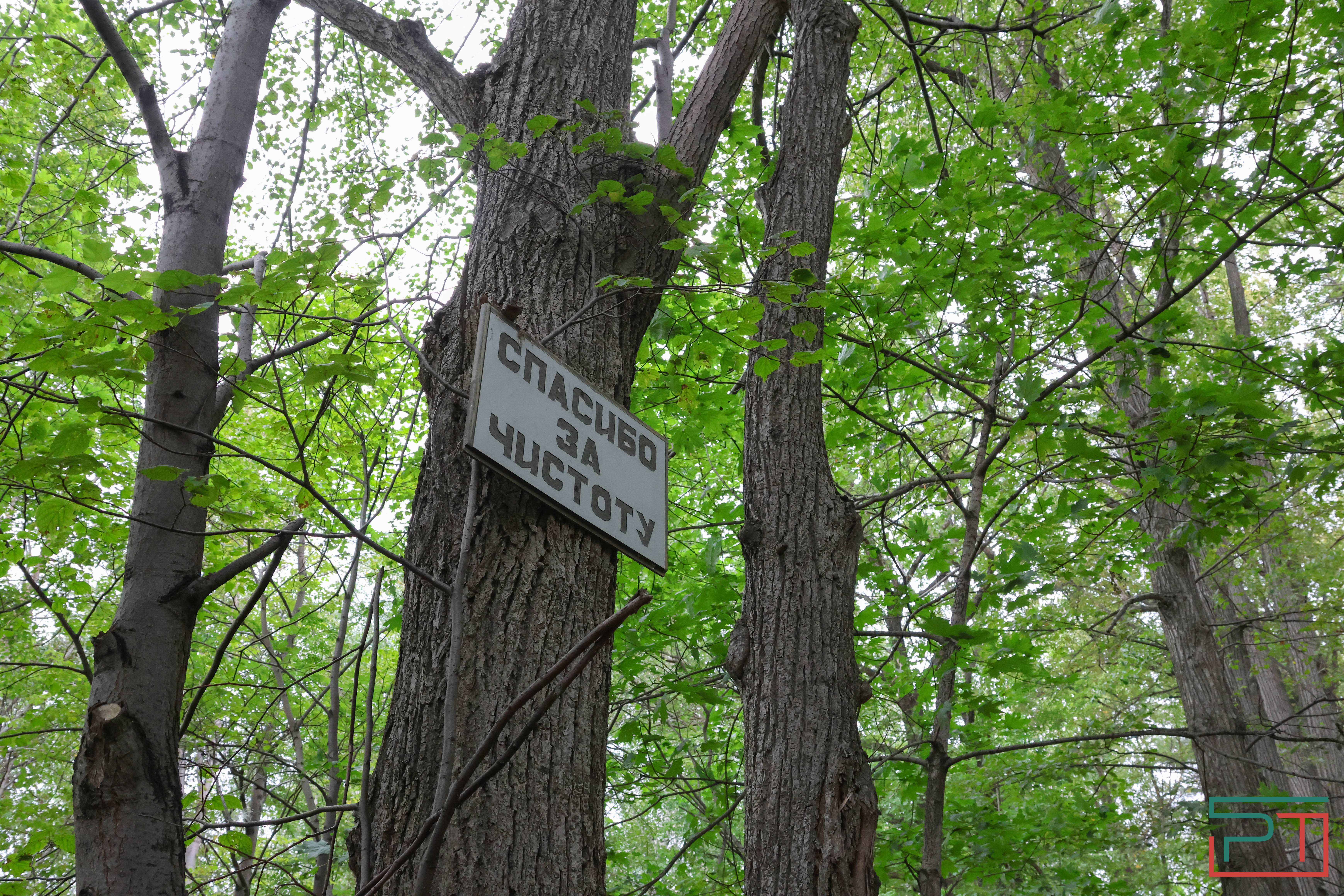 Яблочный спас в селе Красновидово