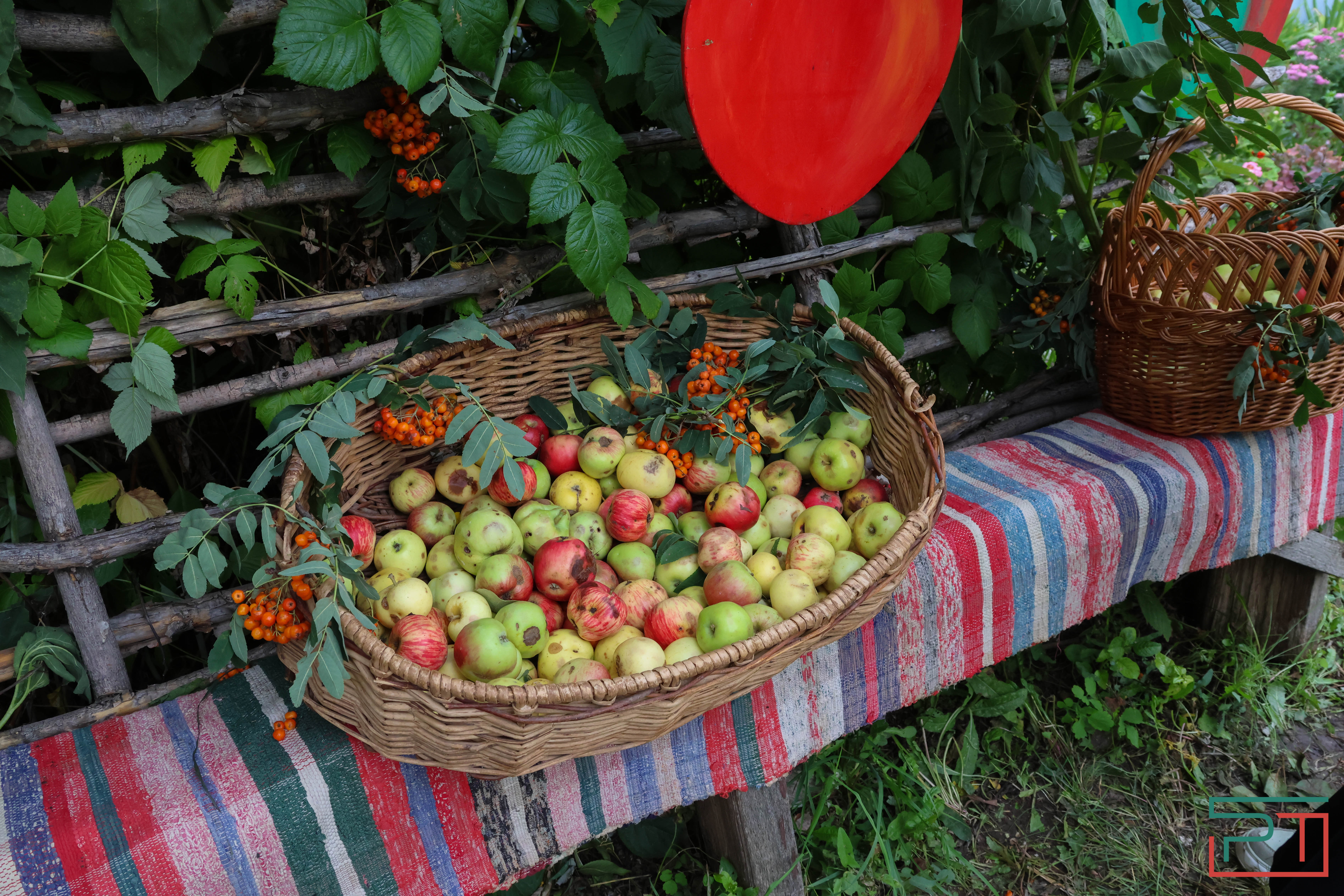 Яблочный спас в селе Красновидово