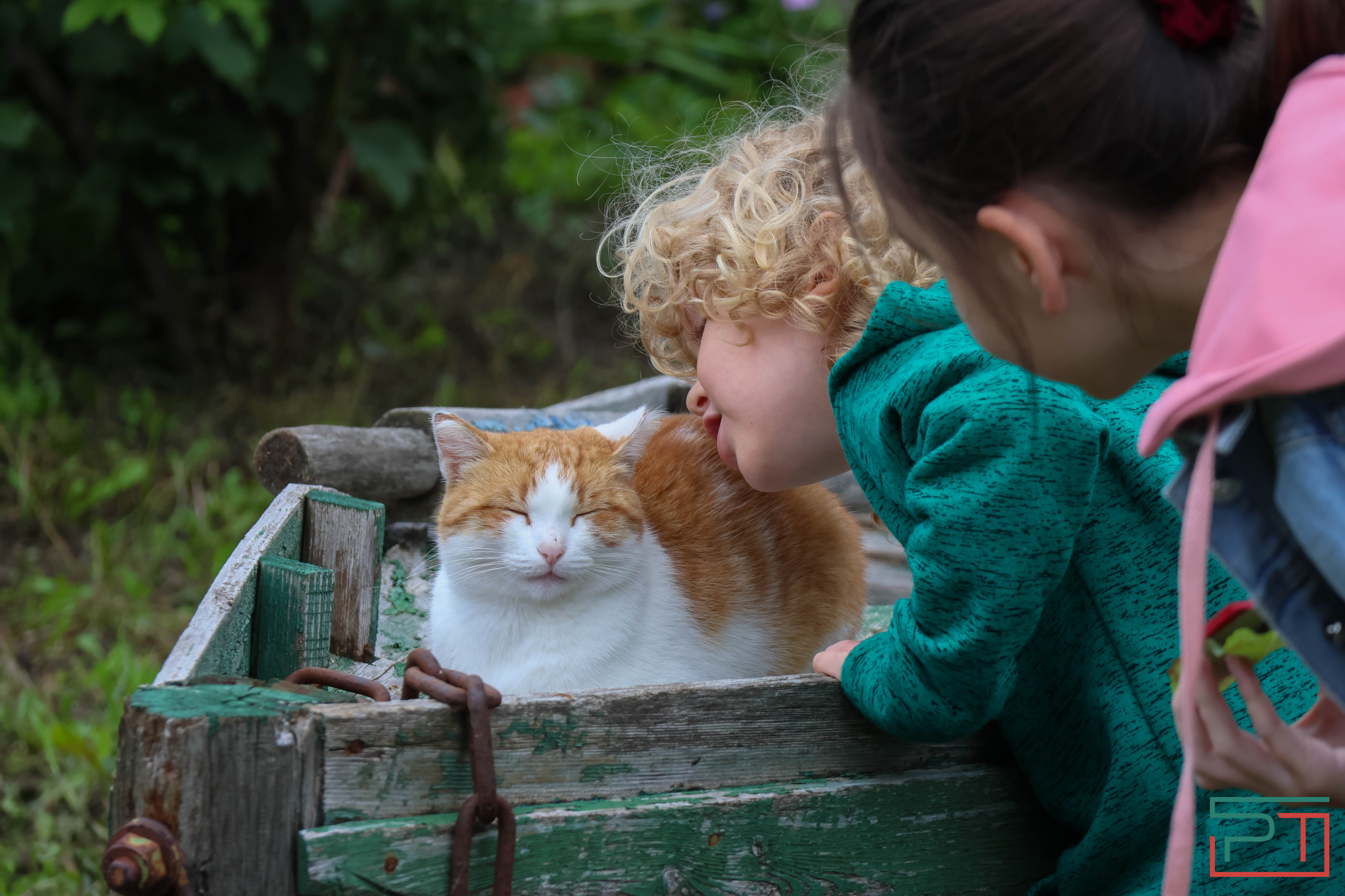 Яблочный спас в селе Красновидово