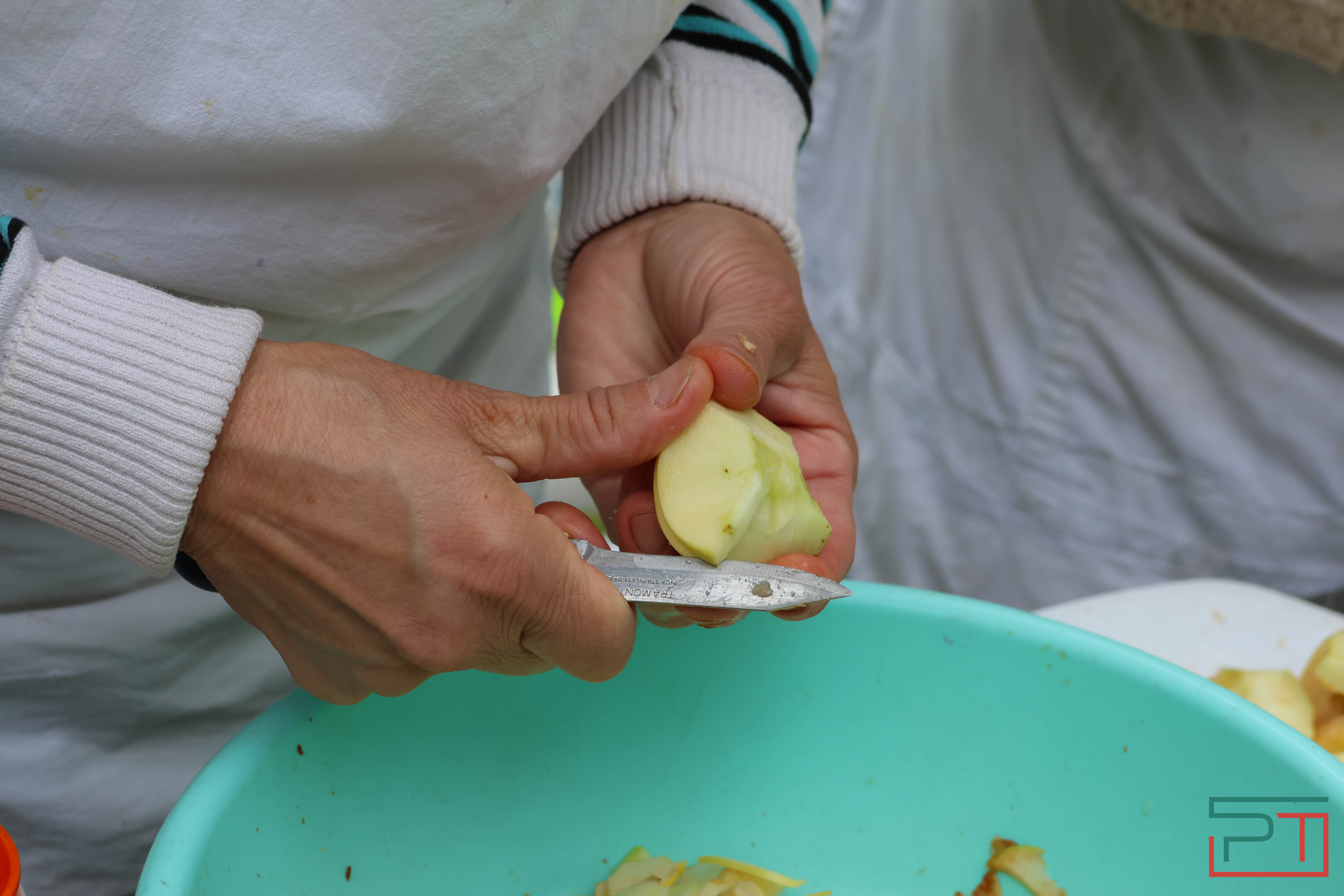 Яблочный спас в селе Красновидово