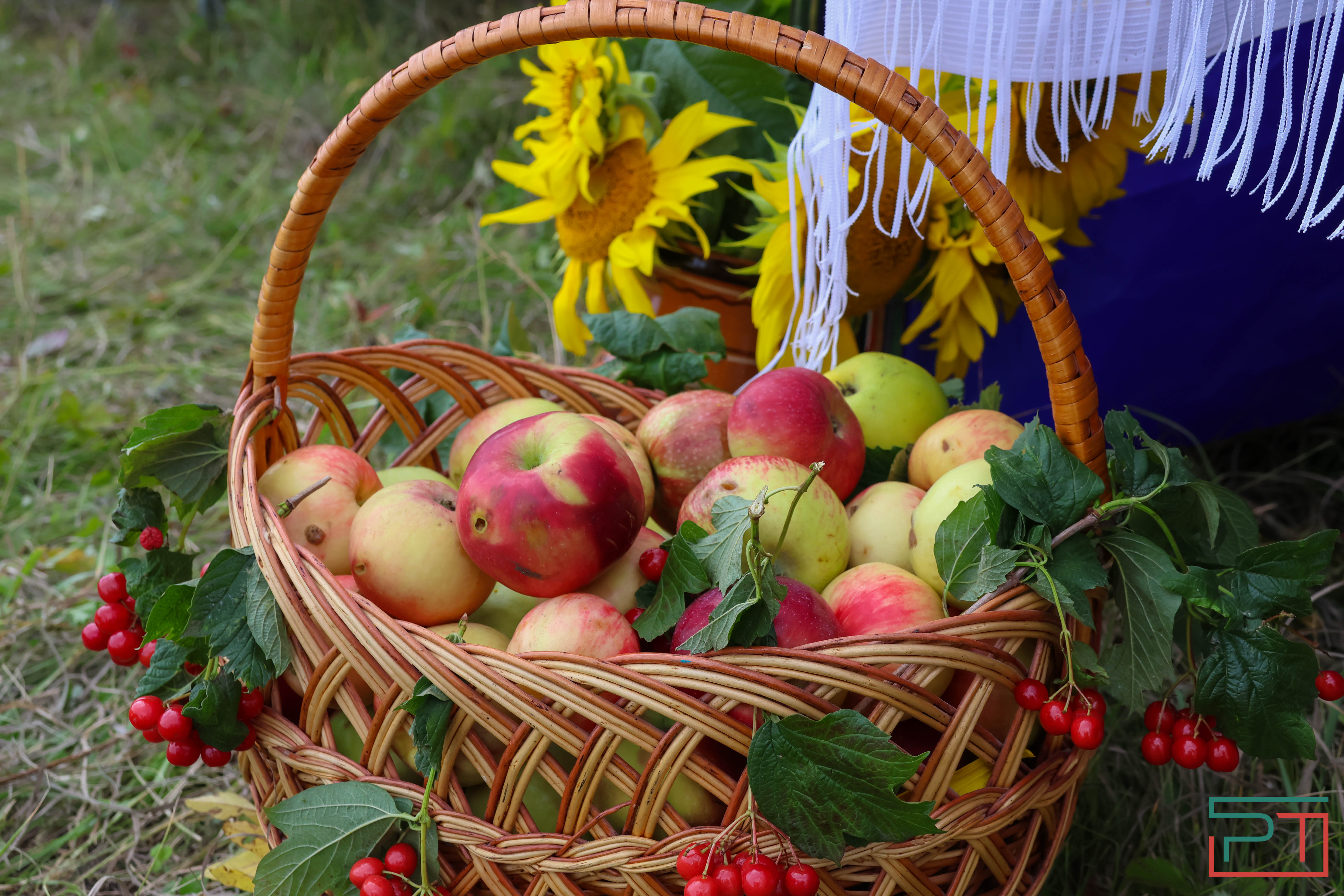 Яблочный спас в селе Красновидово
