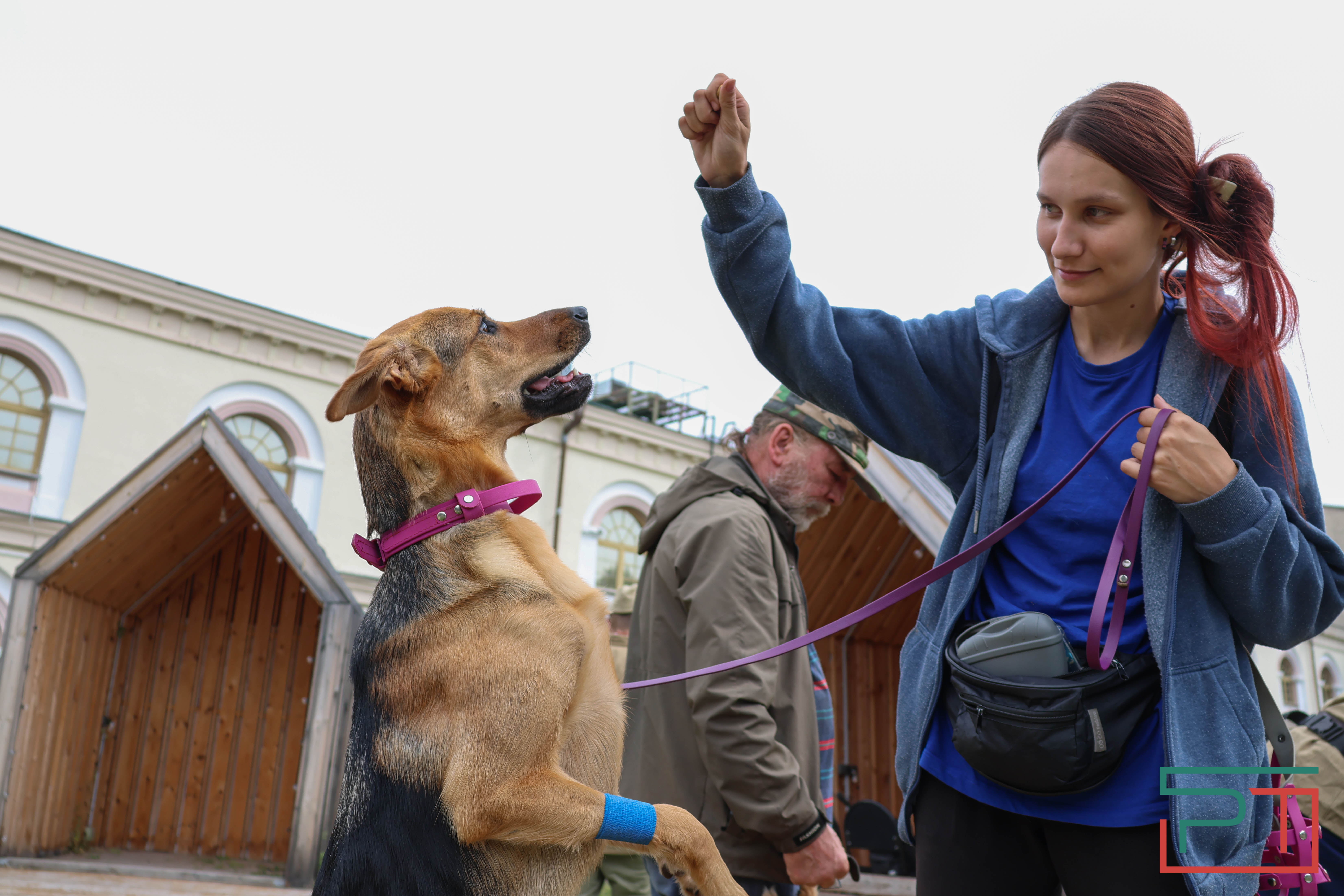 День фронтовой собаки в Нацмузее РТ
