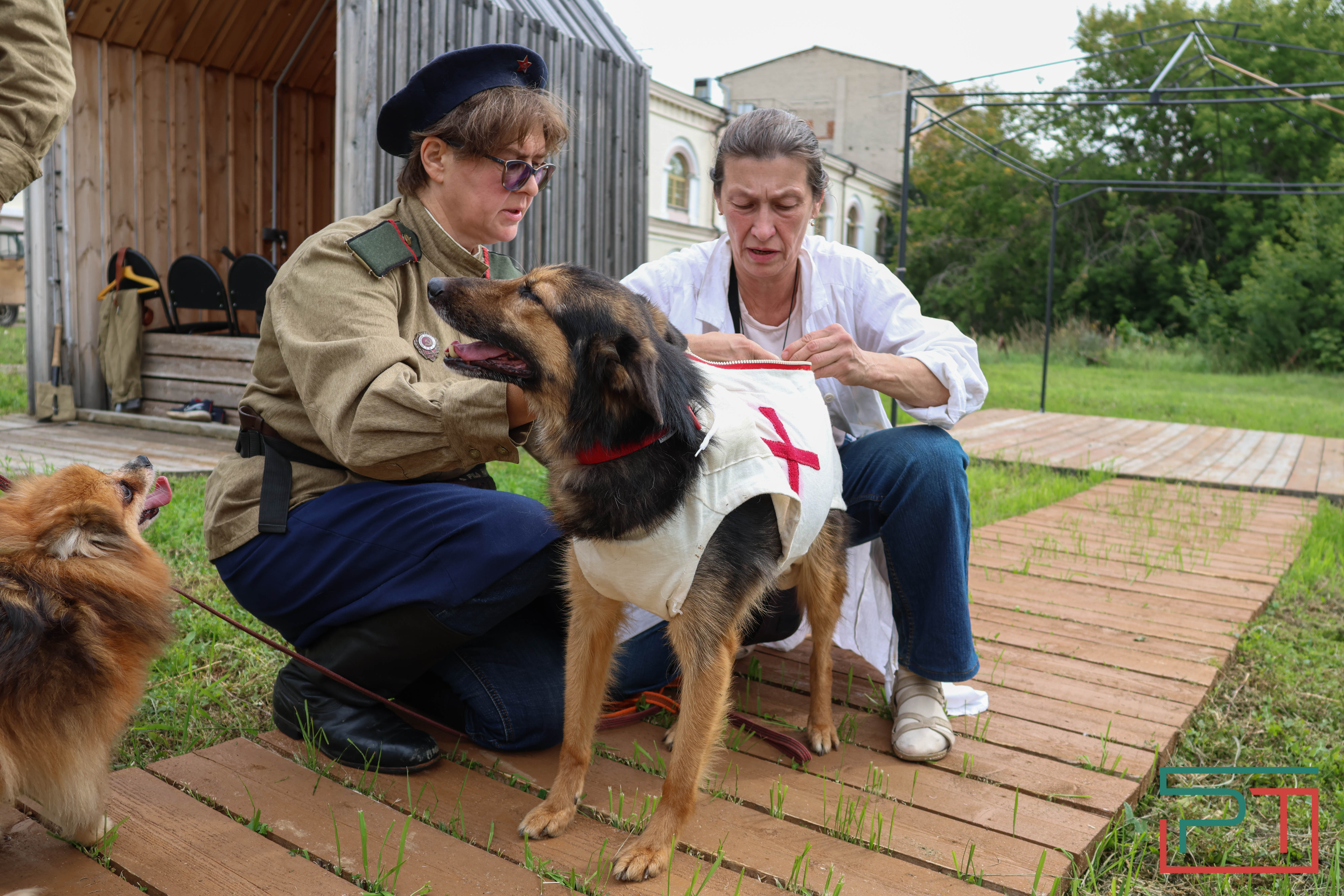 День фронтовой собаки в Нацмузее РТ