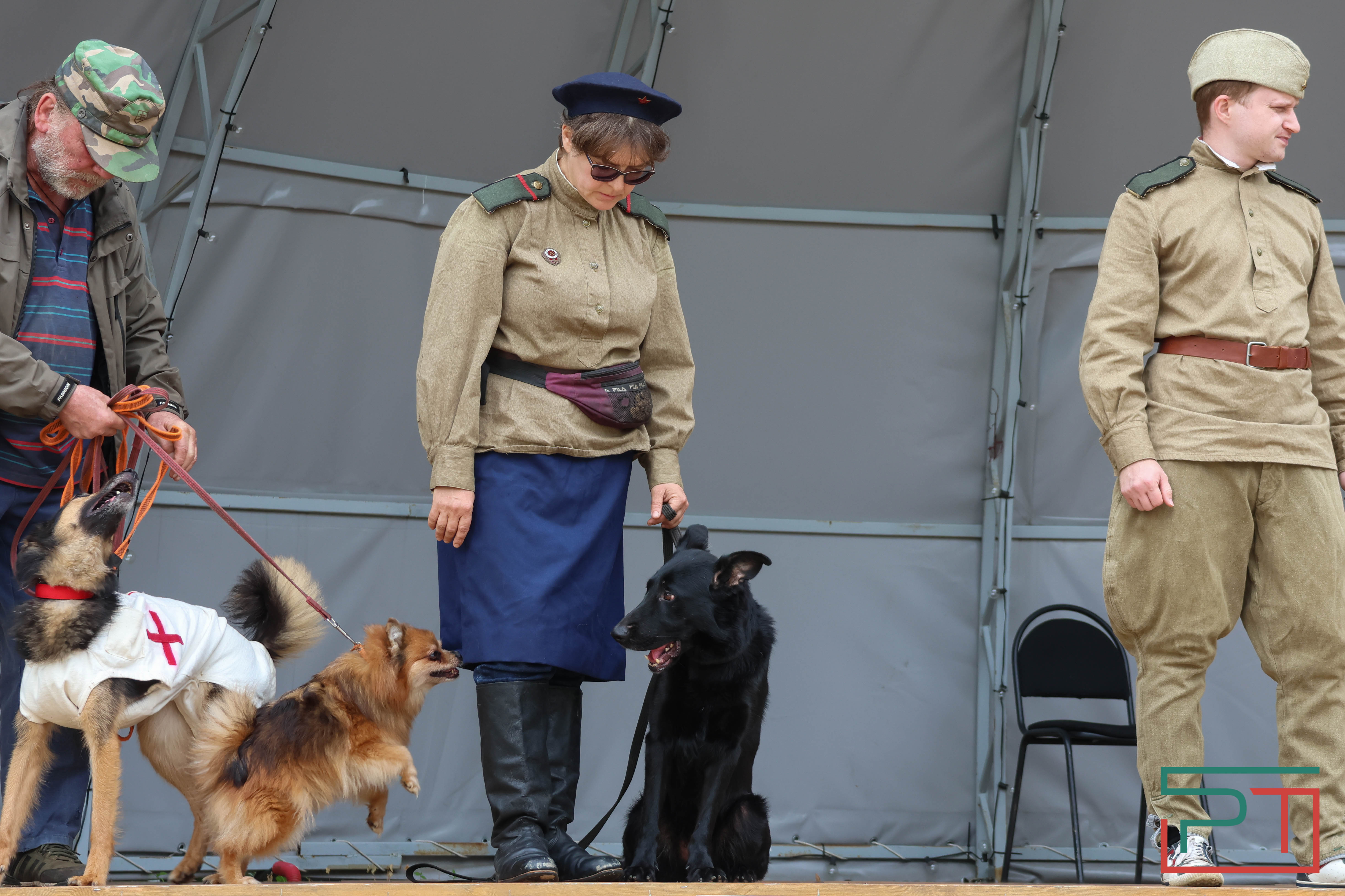 День фронтовой собаки в Нацмузее РТ